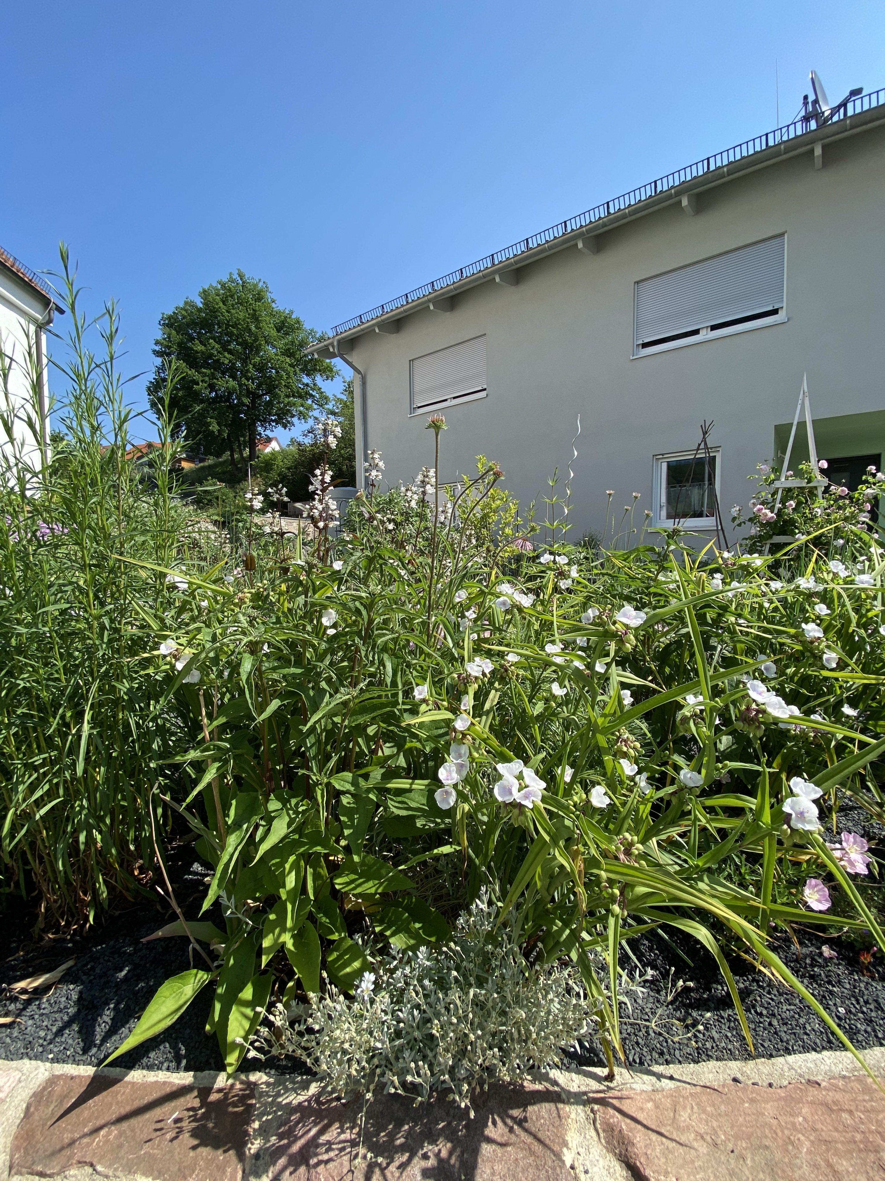 brunnen-fuer-gartenbewaesserung-idee-verbessern-bitte-input-505326-1.jpeg