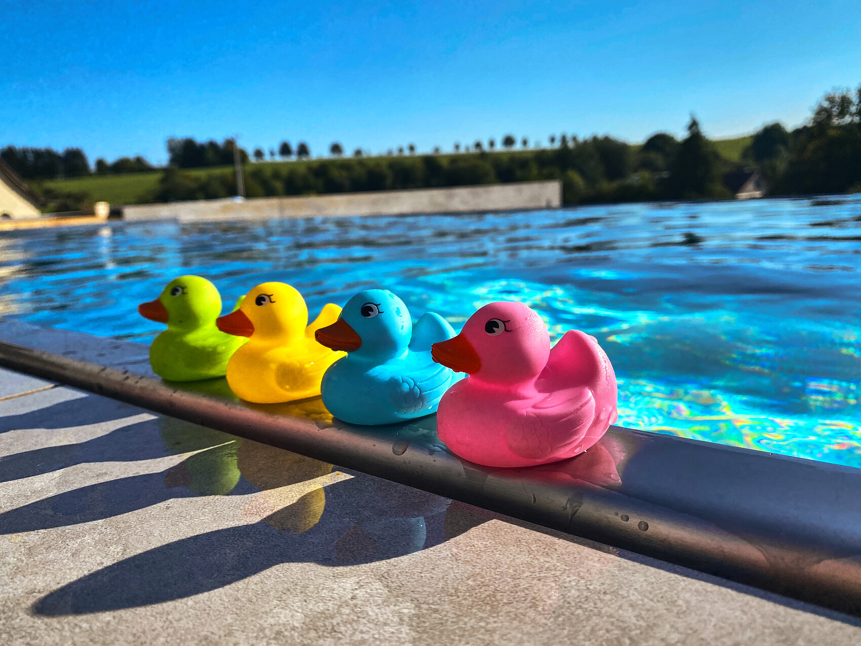 Vier bunte Gummi-Entchen am Beckenrand eines Pools bei Sonnenschein.