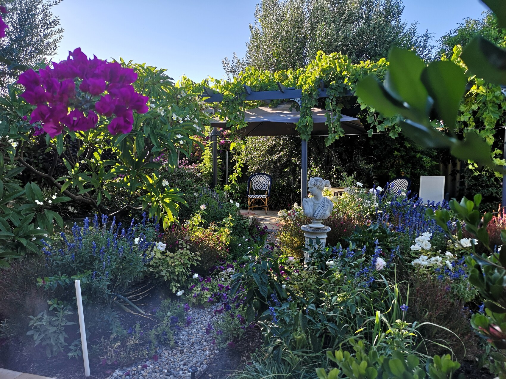 Garten mit Pergola, Bougainvillea, bunte Beete, Steinbüste auf Säule, Gartenstühle.