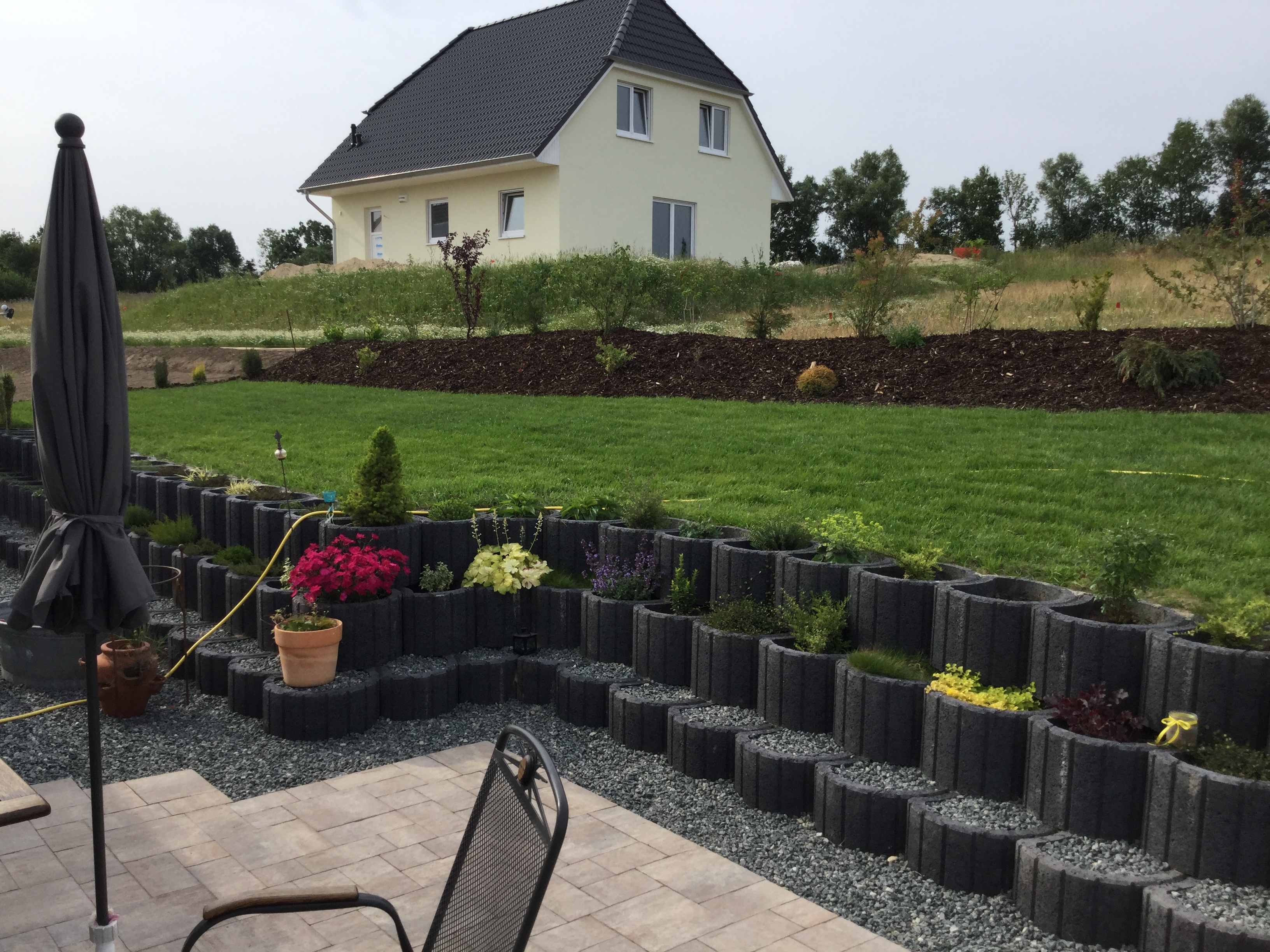 bunter-garten-plauder-bilder-thread-319961-1.JPG