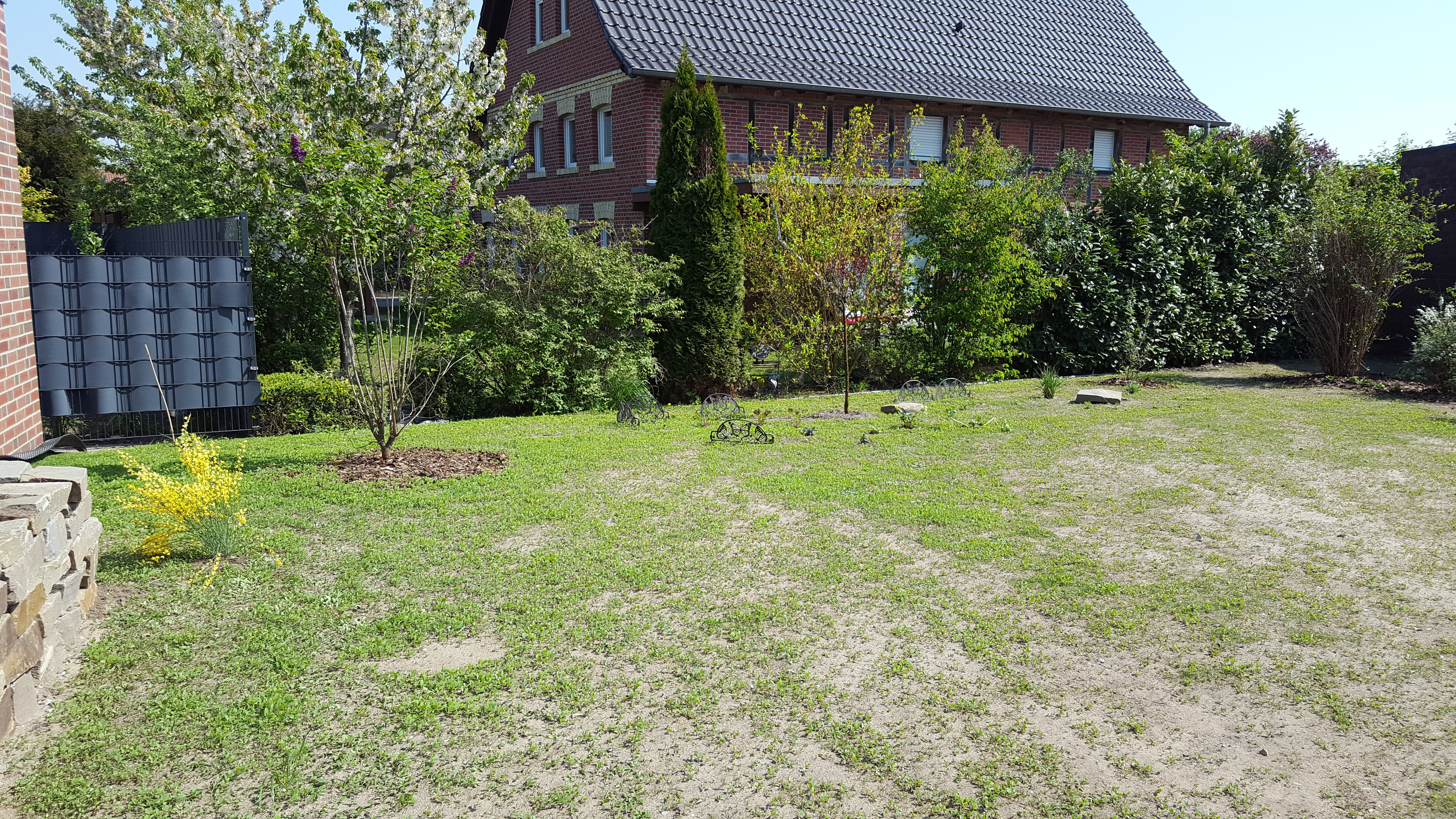 bunter-garten-plauder-bilder-thread-319997-1.jpg