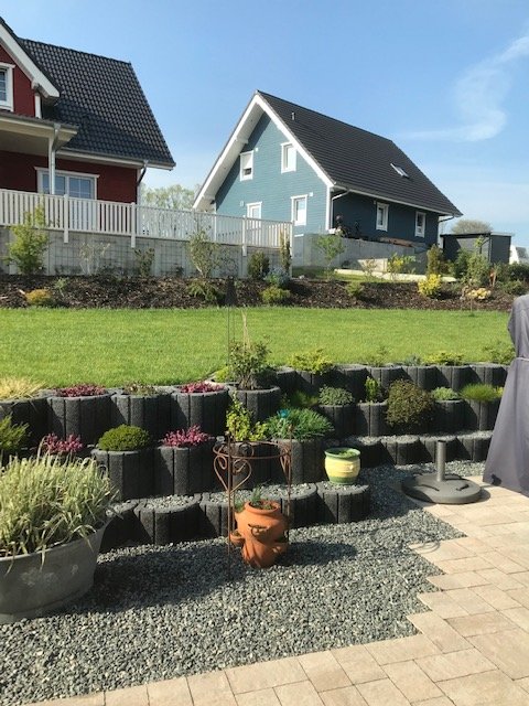 bunter-garten-plauder-bilder-thread-320691-1.jpg