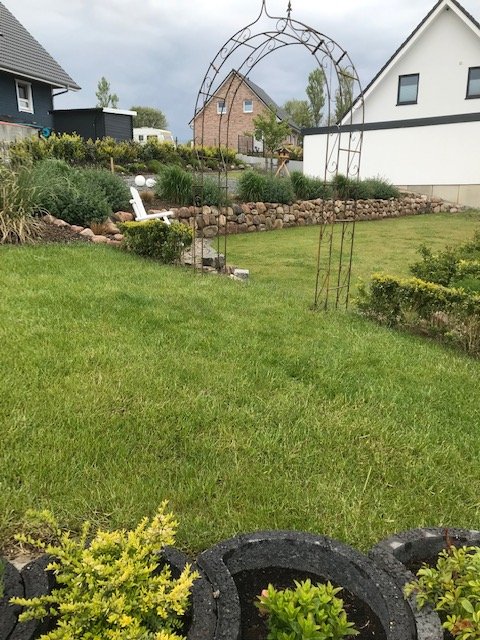 bunter-garten-plauder-bilder-thread-323970-1.jpeg