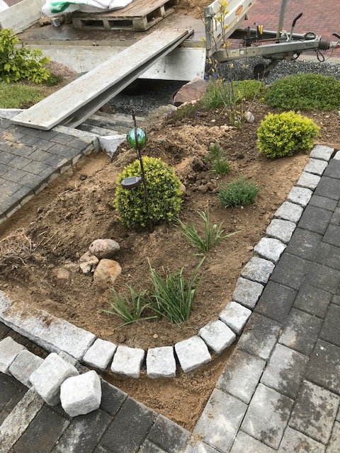bunter-garten-plauder-bilder-thread-323970-4.jpeg