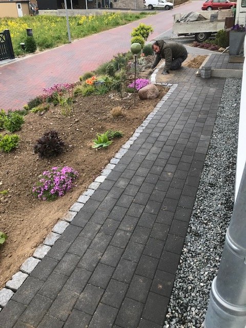 bunter-garten-plauder-bilder-thread-323970-5.jpeg