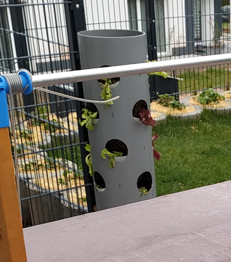 bunter-garten-plauder-bilder-thread-325256-1.jpg