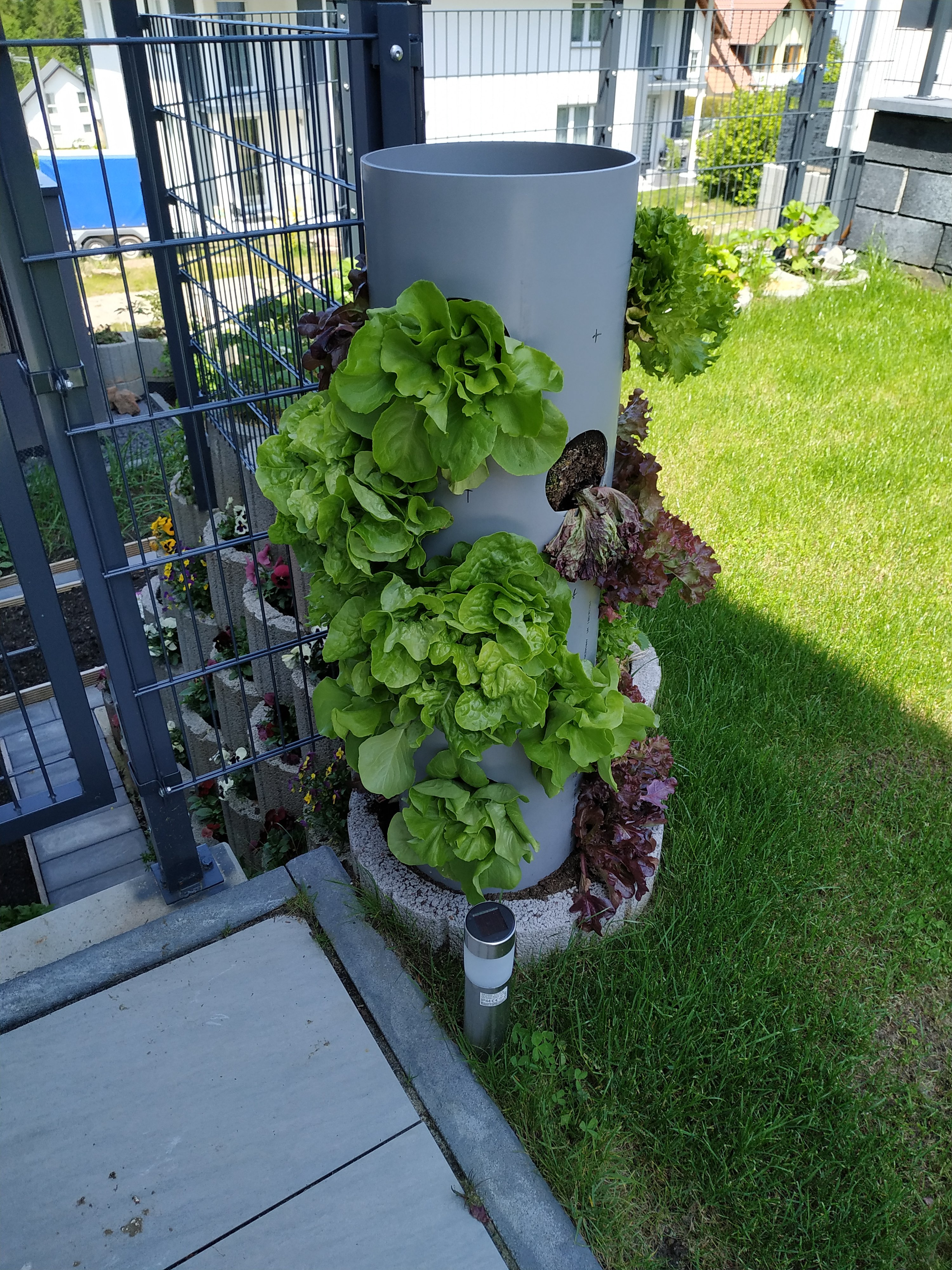 bunter-garten-plauder-bilder-thread-325256-2.jpg