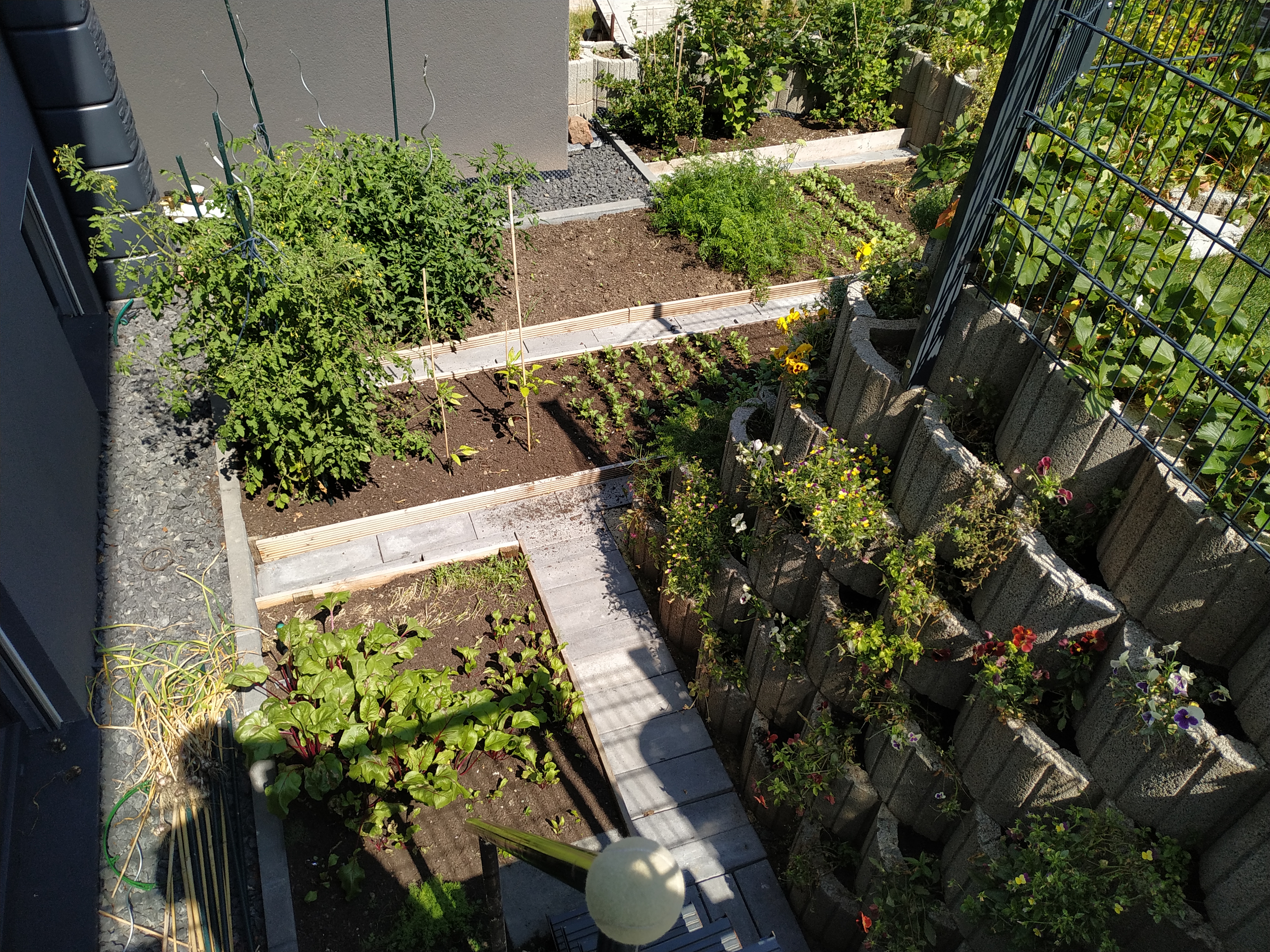 bunter-garten-plauder-bilder-thread-338577-1.jpg