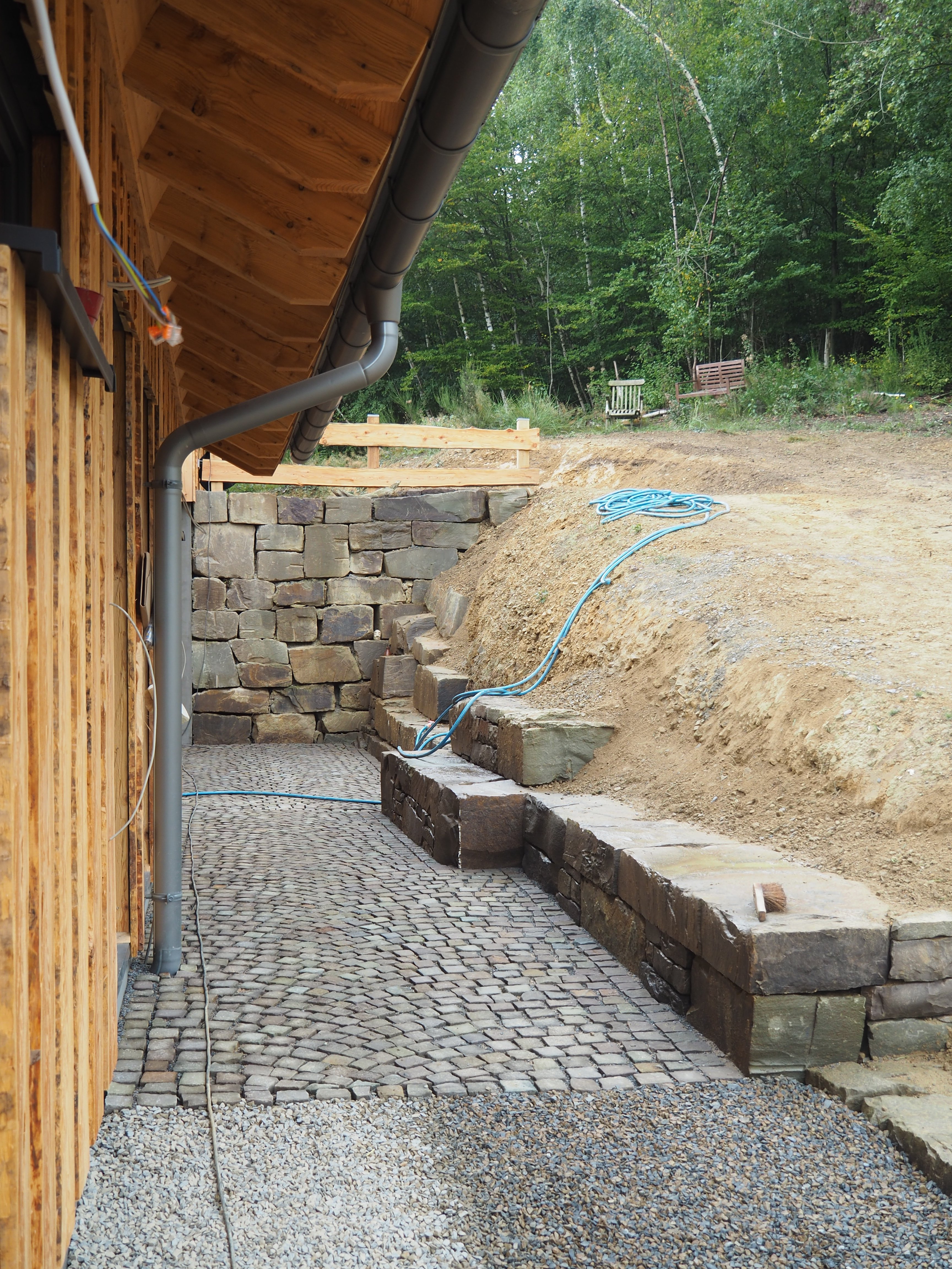 bunter-garten-plauder-bilder-thread-346198-1.JPG