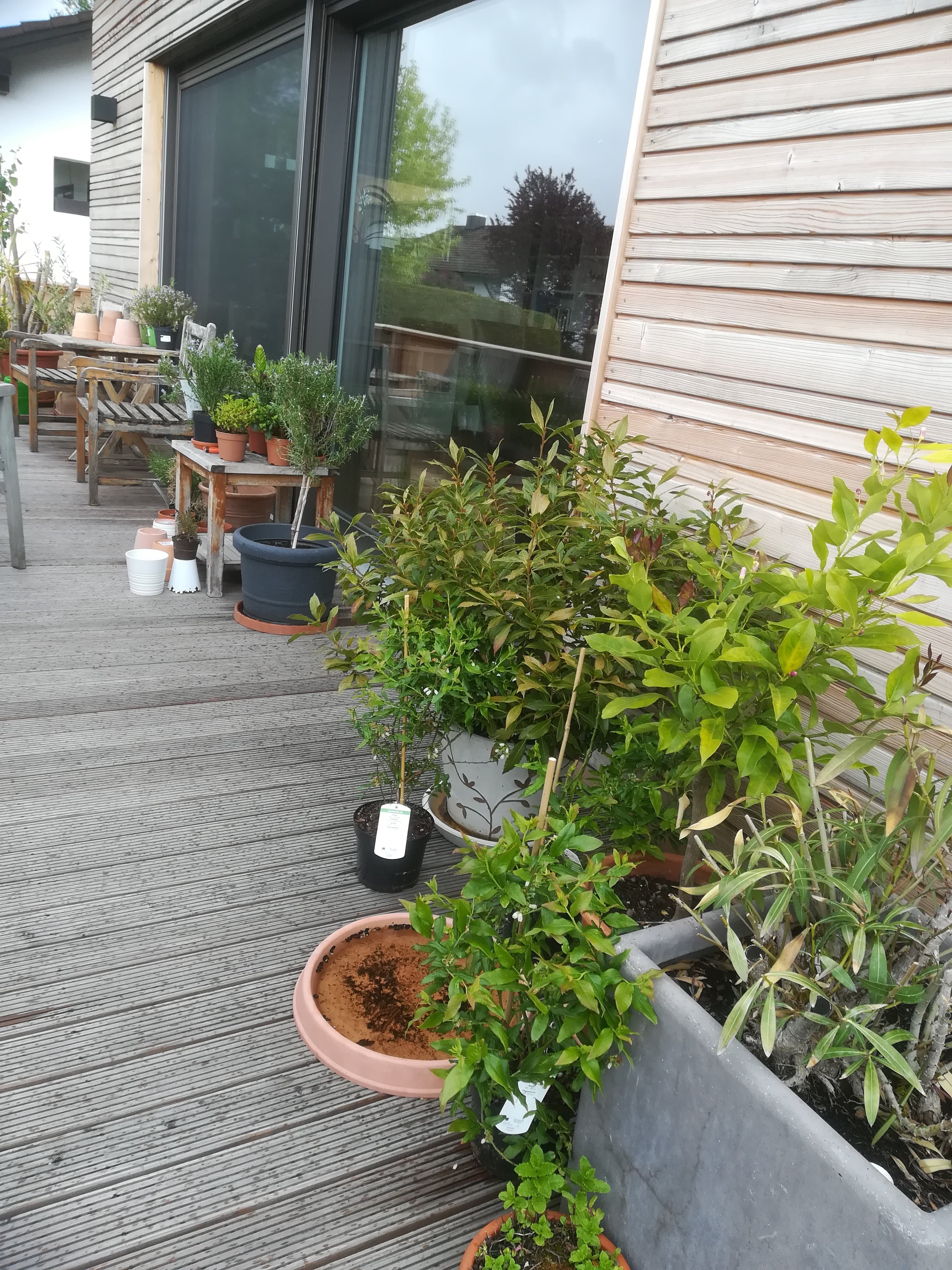 bunter-garten-plauder-bilder-thread-399390-5.jpg