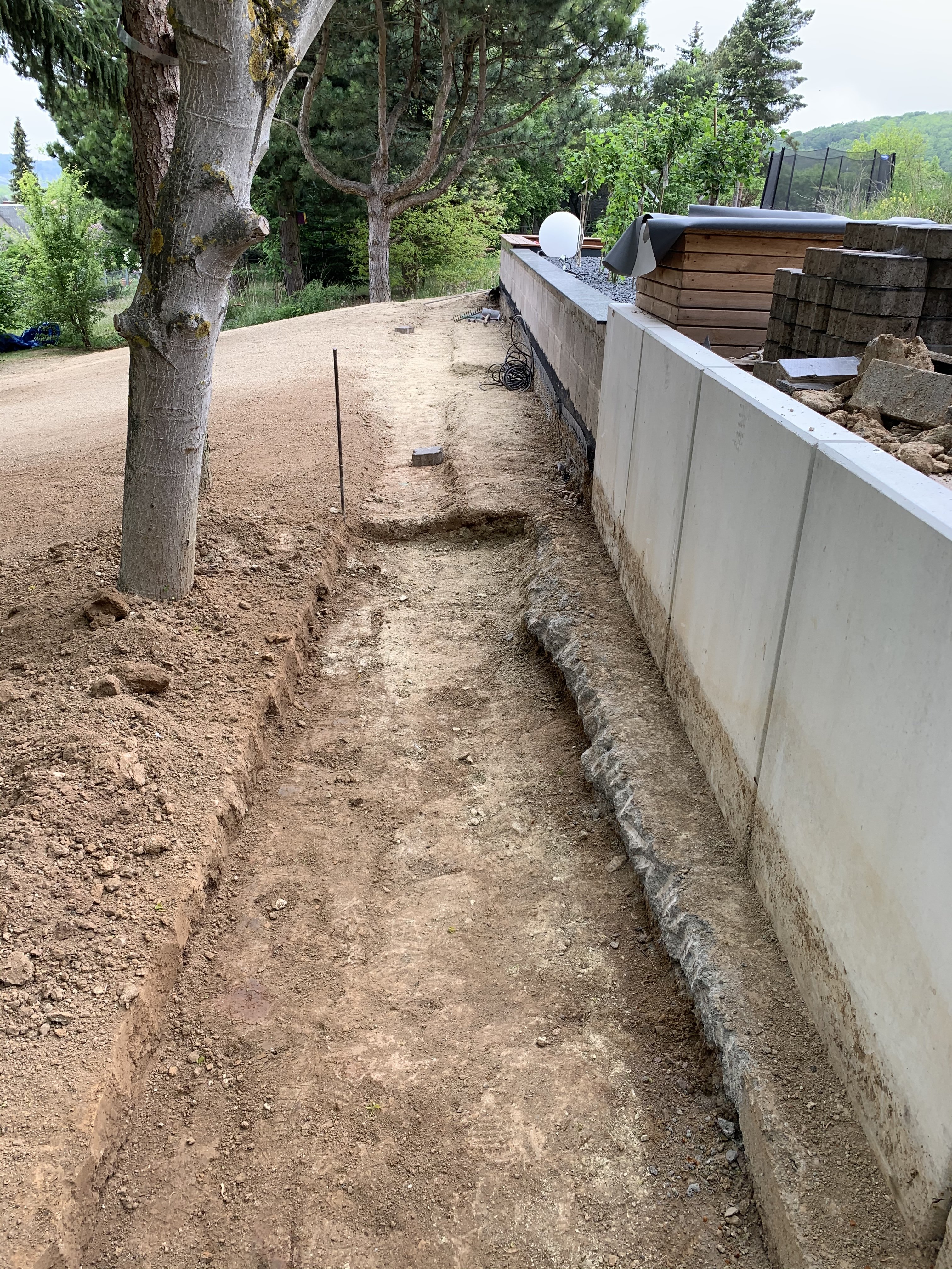 bunter-garten-plauder-bilder-thread-404705-9.jpeg