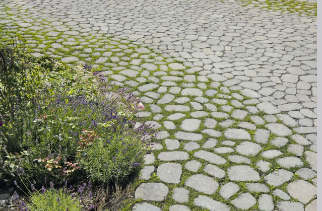 bunter-garten-plauder-bilder-thread-405620-1.png