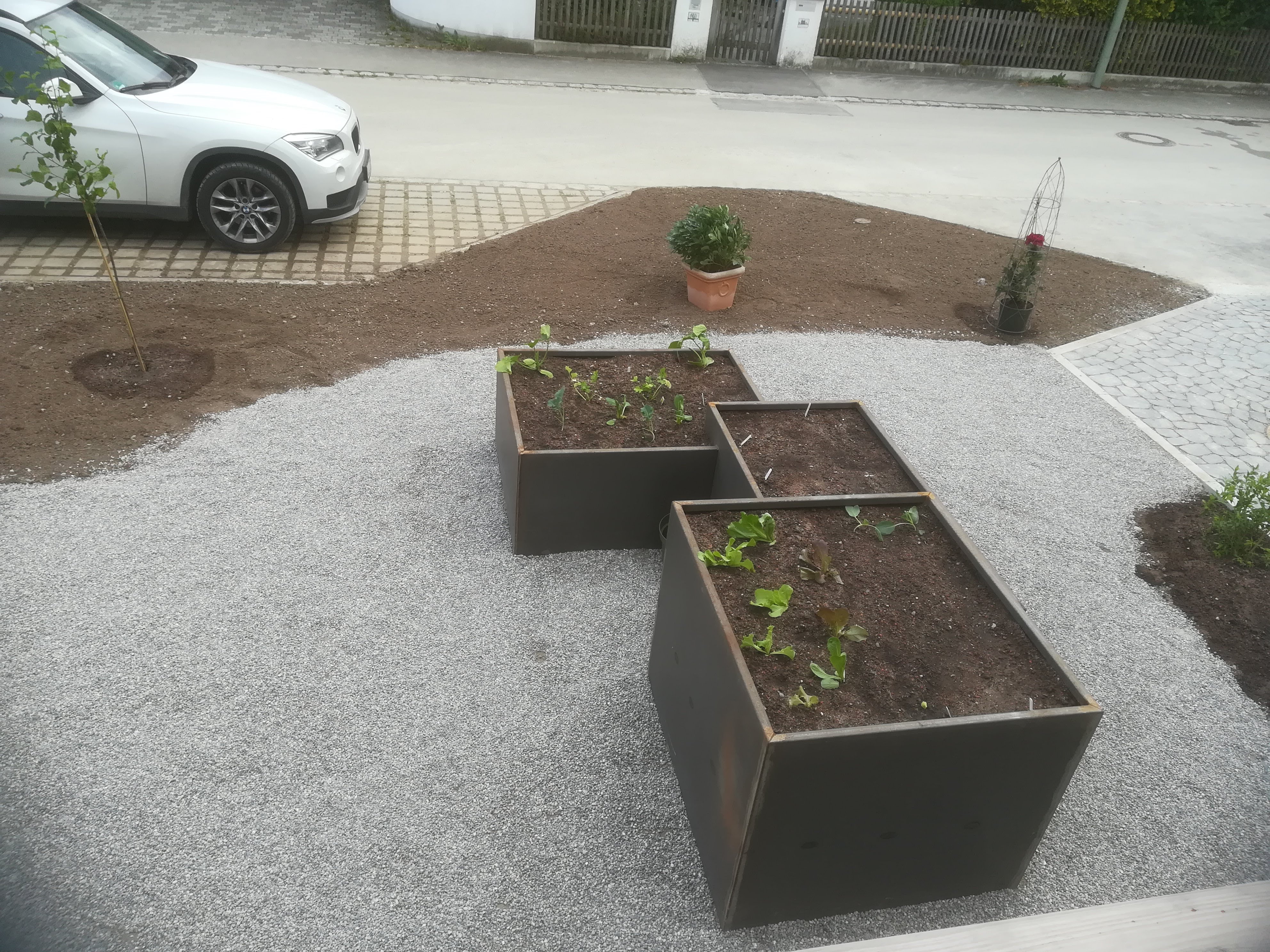 bunter-garten-plauder-bilder-thread-410006-3.jpg