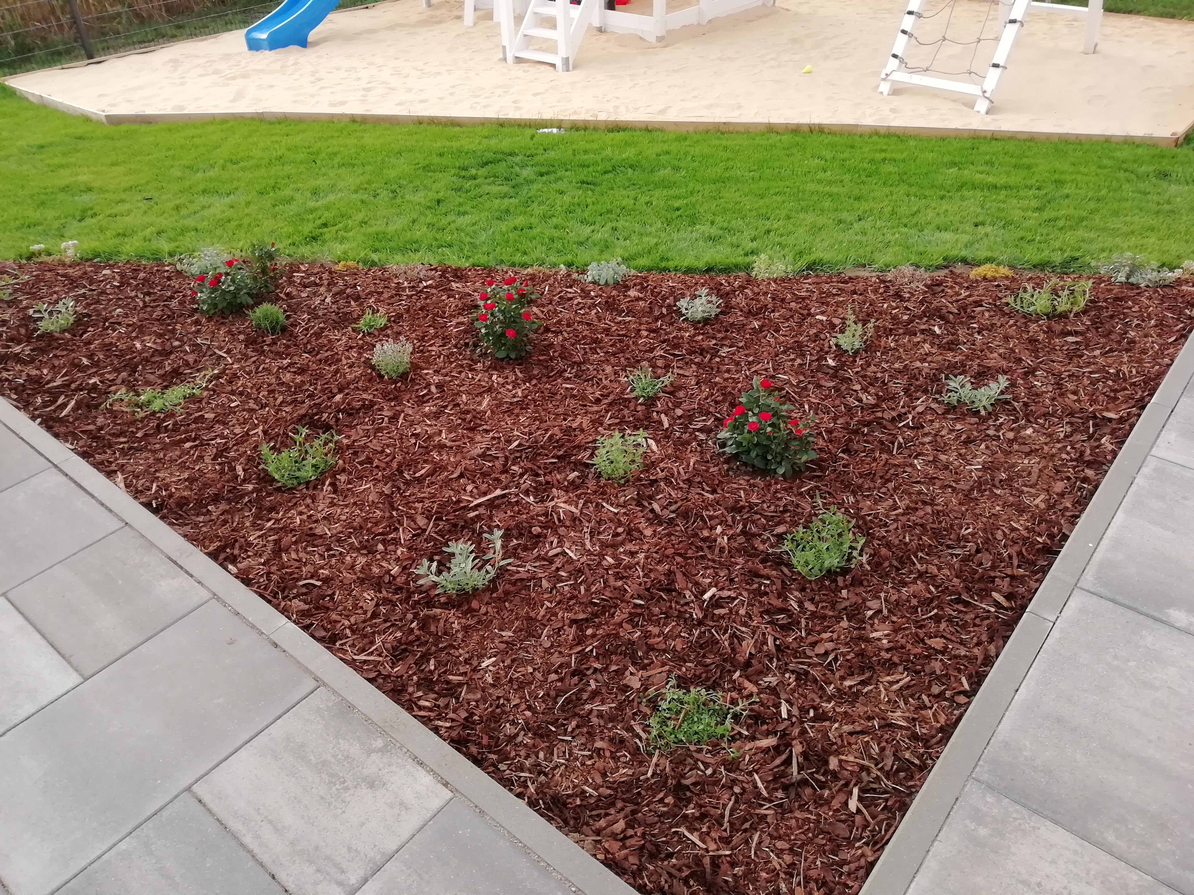 bunter-garten-plauder-bilder-thread-412351-2.jpg