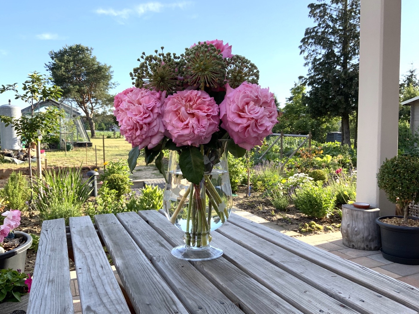 bunter-garten-plauder-bilder-thread-413375-1.jpeg