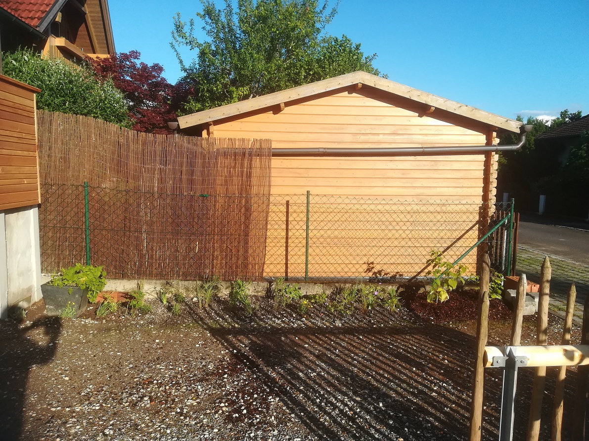bunter-garten-plauder-bilder-thread-416514-4.jpg