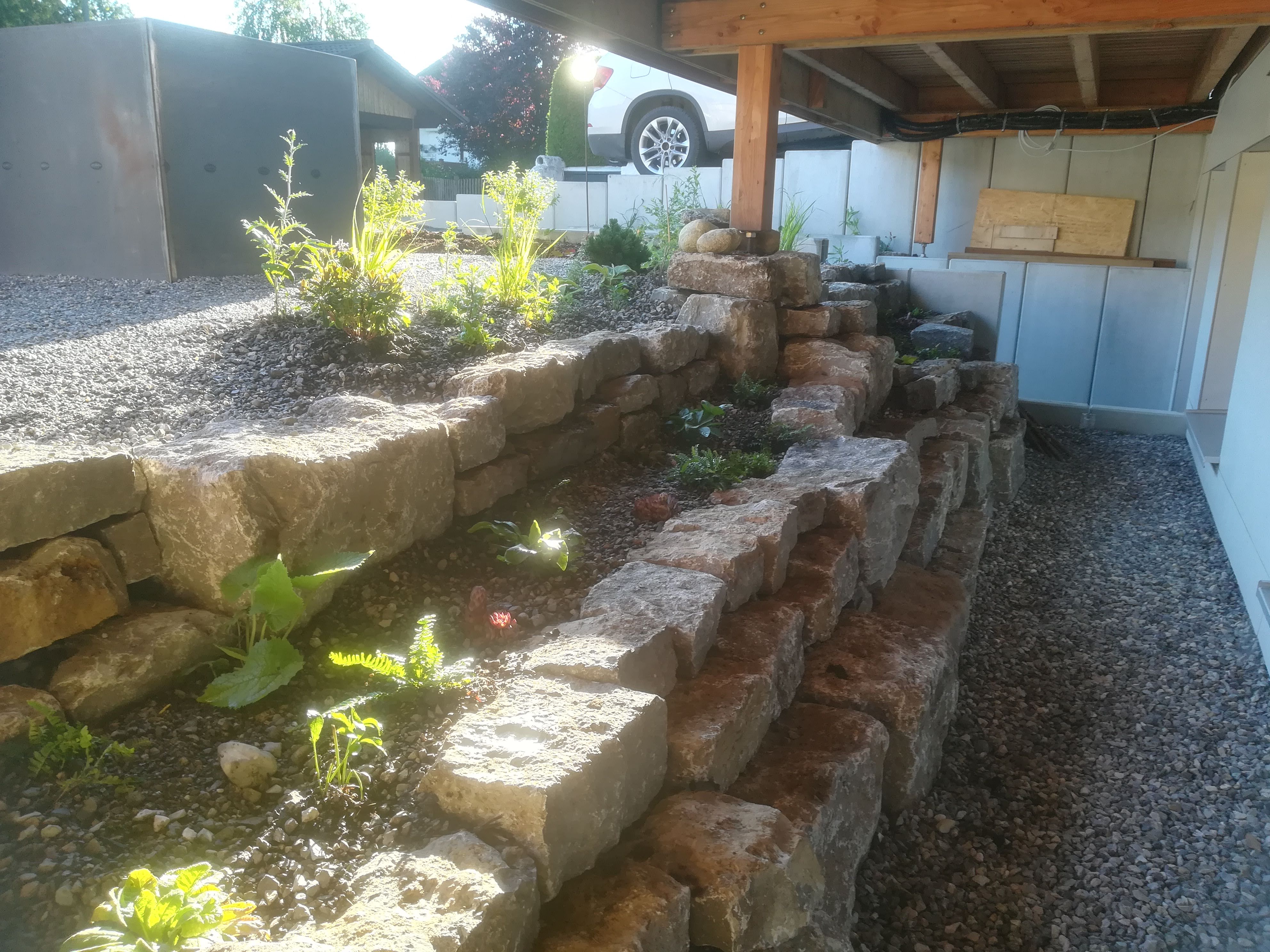 bunter-garten-plauder-bilder-thread-416517-1.jpg