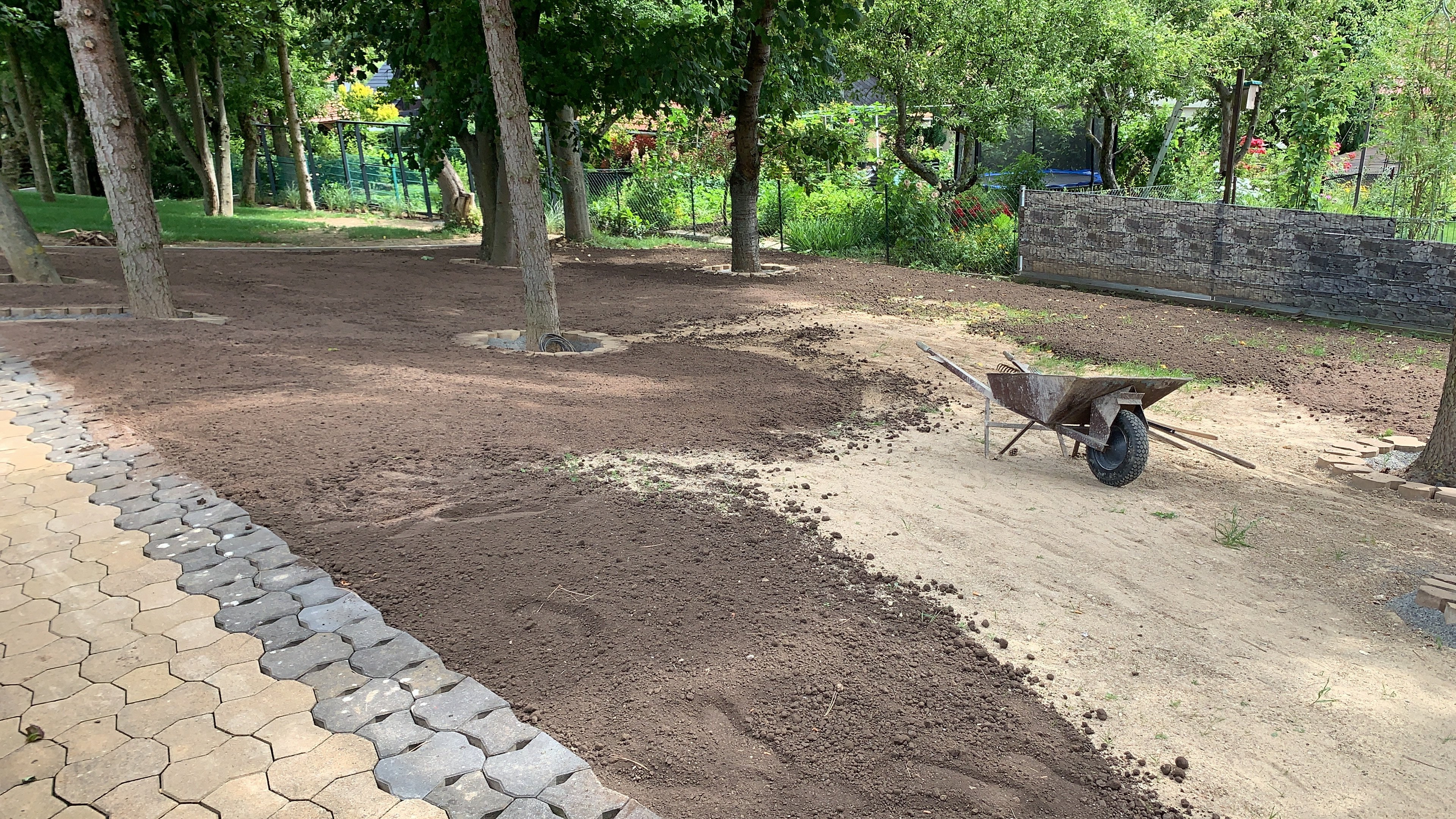 bunter-garten-plauder-bilder-thread-420283-1.jpeg
