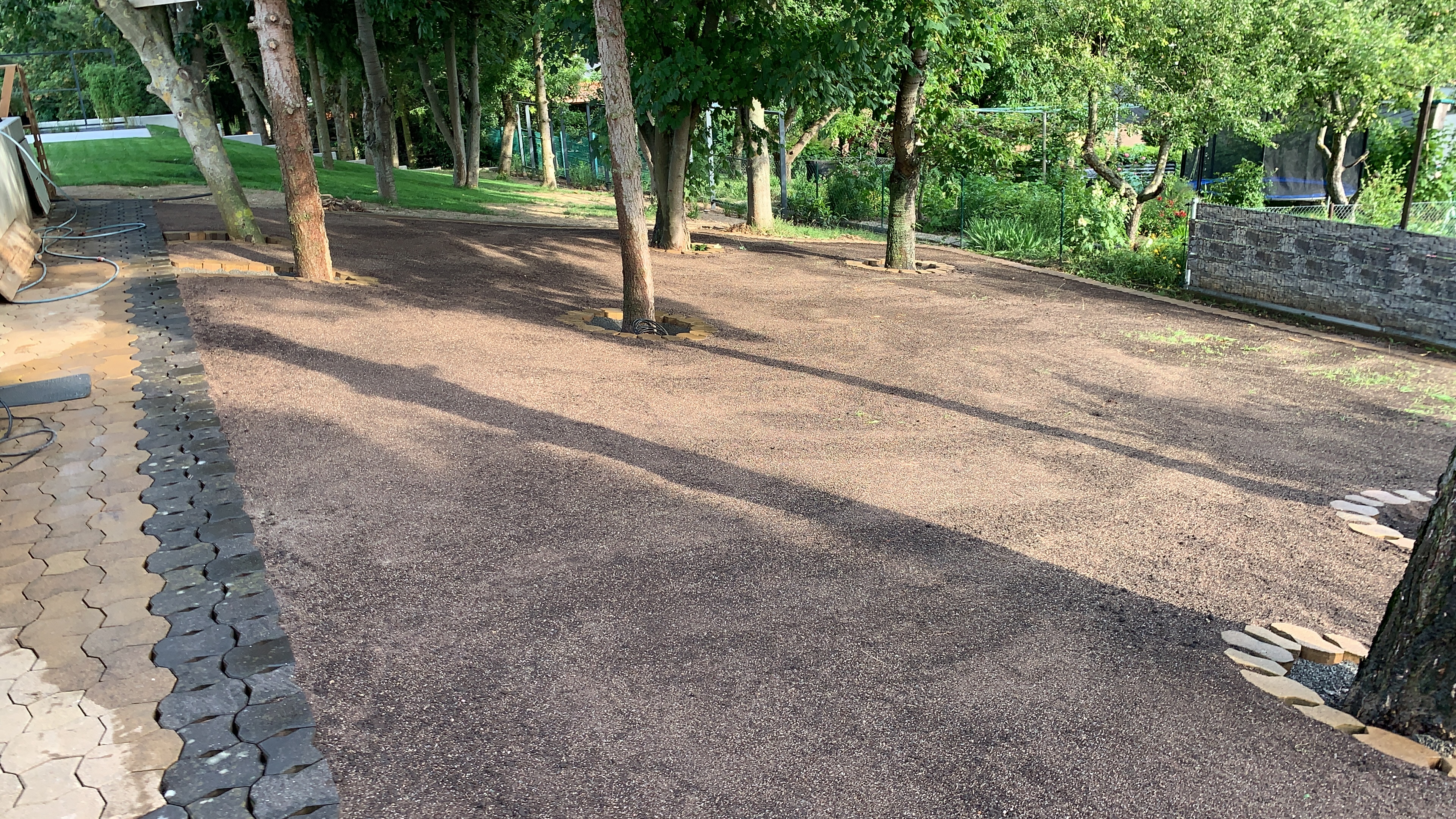 bunter-garten-plauder-bilder-thread-420750-1.jpeg