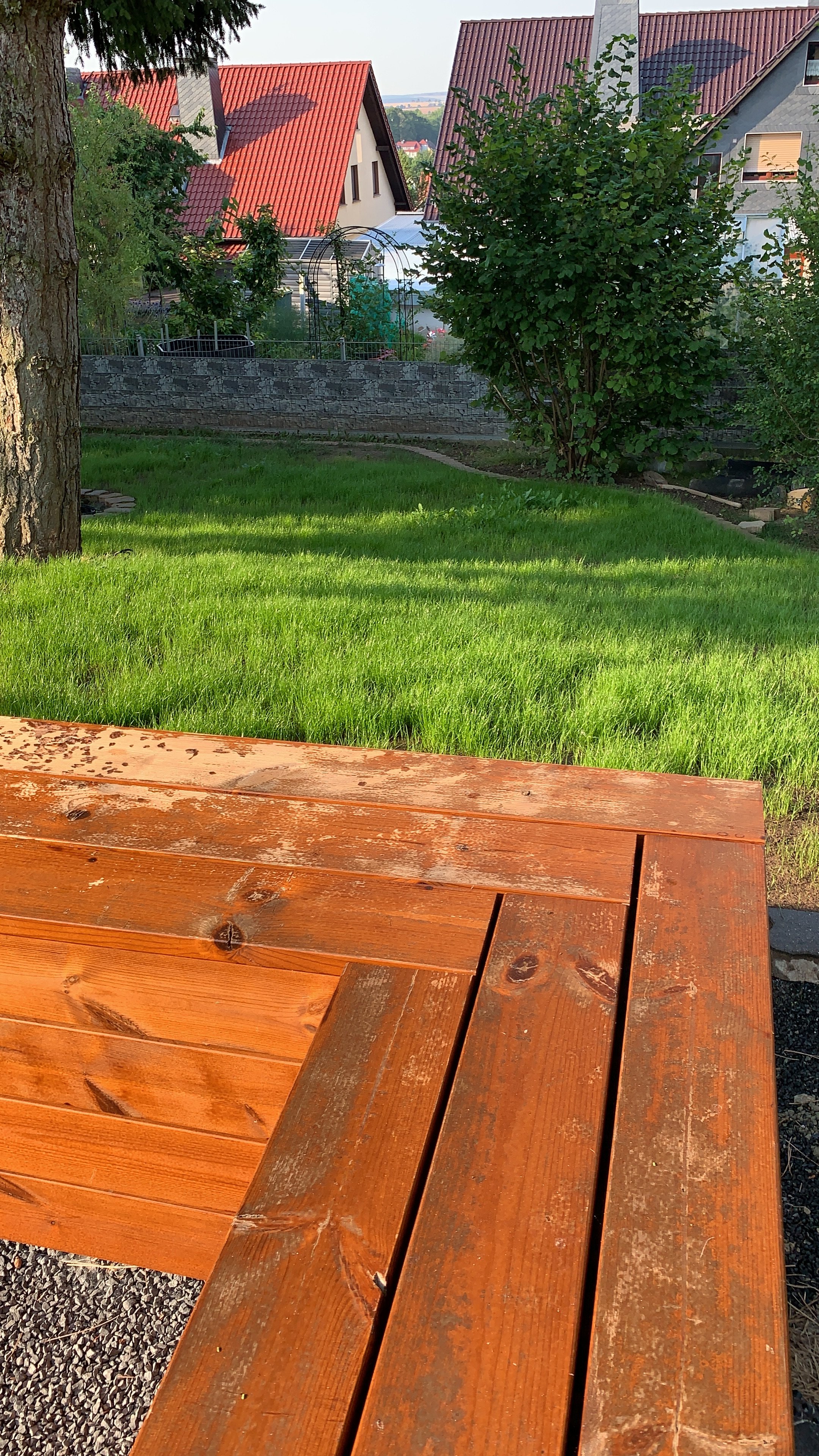 bunter-garten-plauder-bilder-thread-425251-1.jpeg