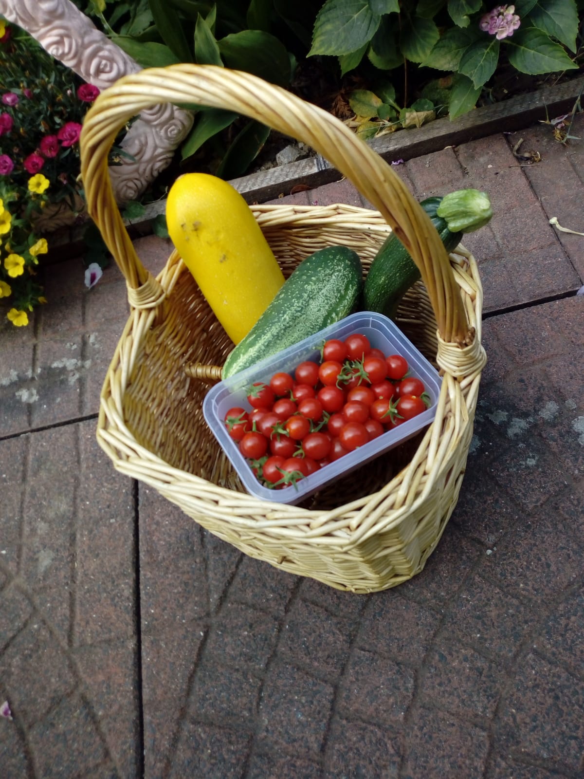 bunter-garten-plauder-bilder-thread-427052-1.jpeg
