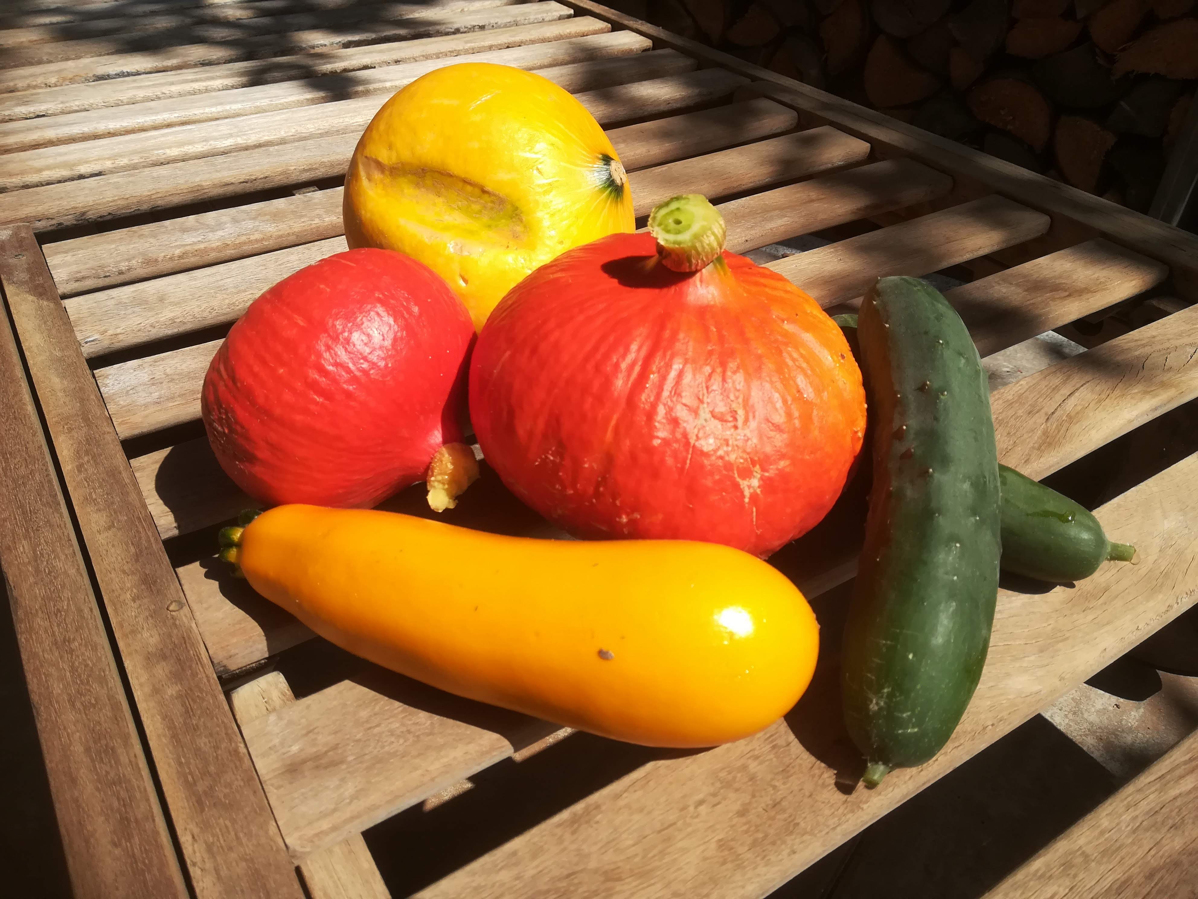 bunter-garten-plauder-bilder-thread-427458-1.jpg