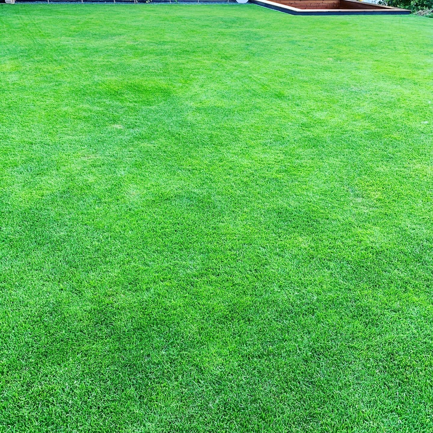 bunter-garten-plauder-bilder-thread-432547-2.jpeg