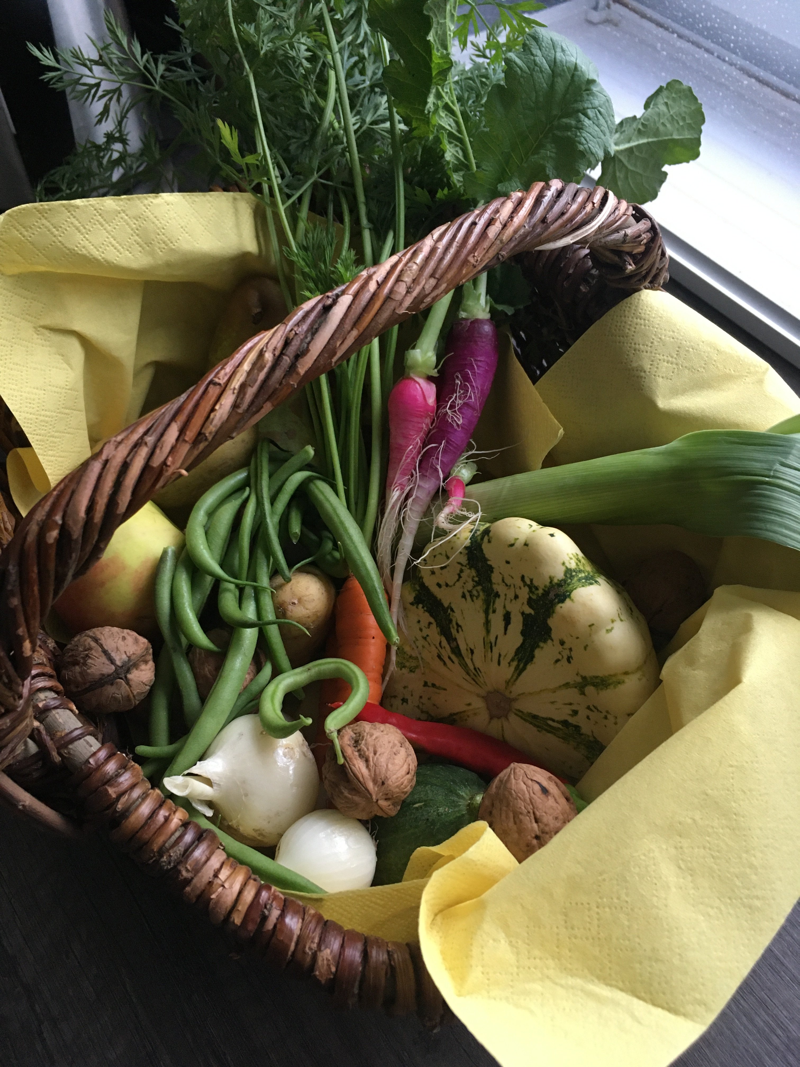 bunter-garten-plauder-bilder-thread-438651-1.jpeg