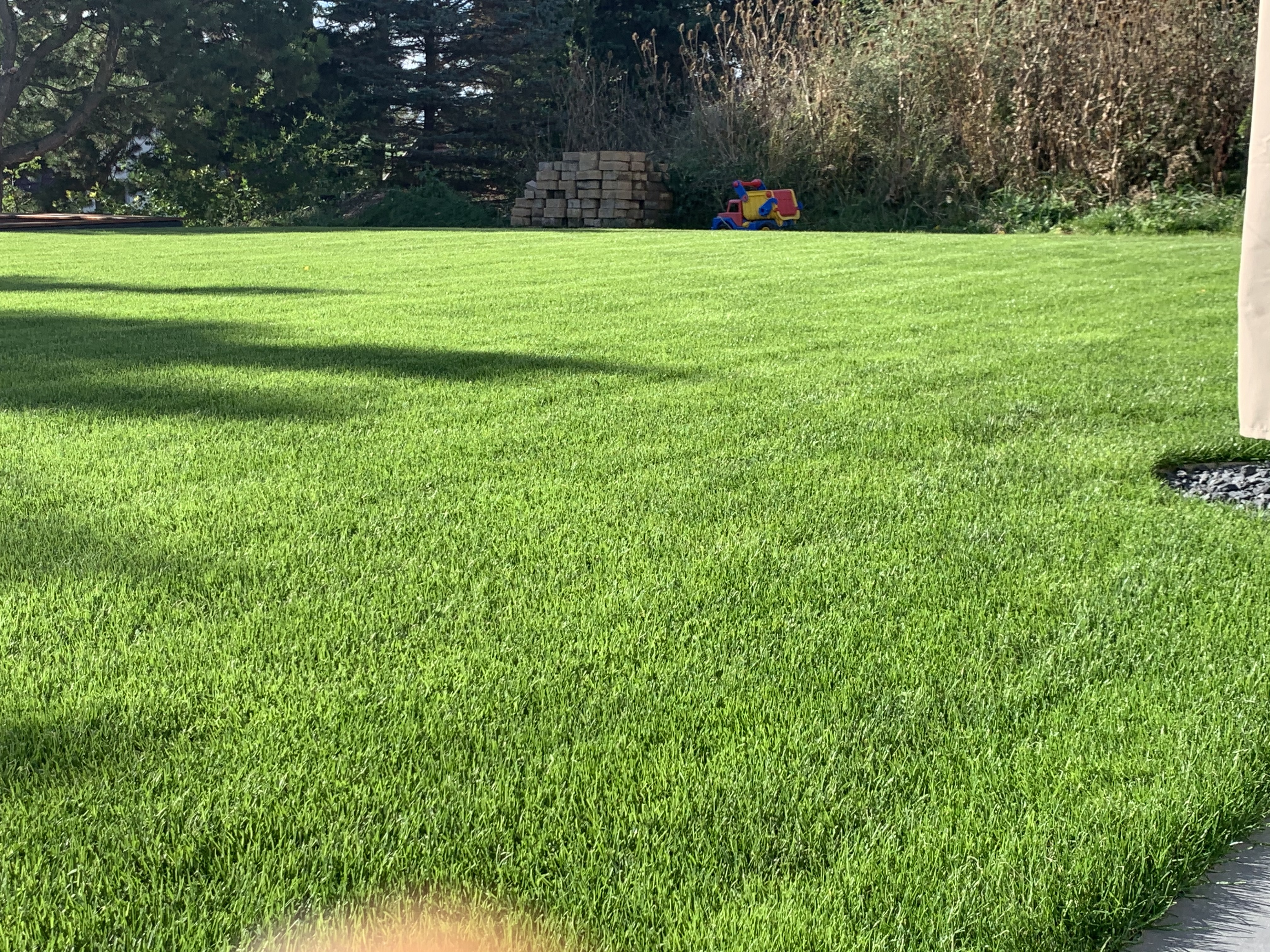 bunter-garten-plauder-bilder-thread-440598-2.jpeg
