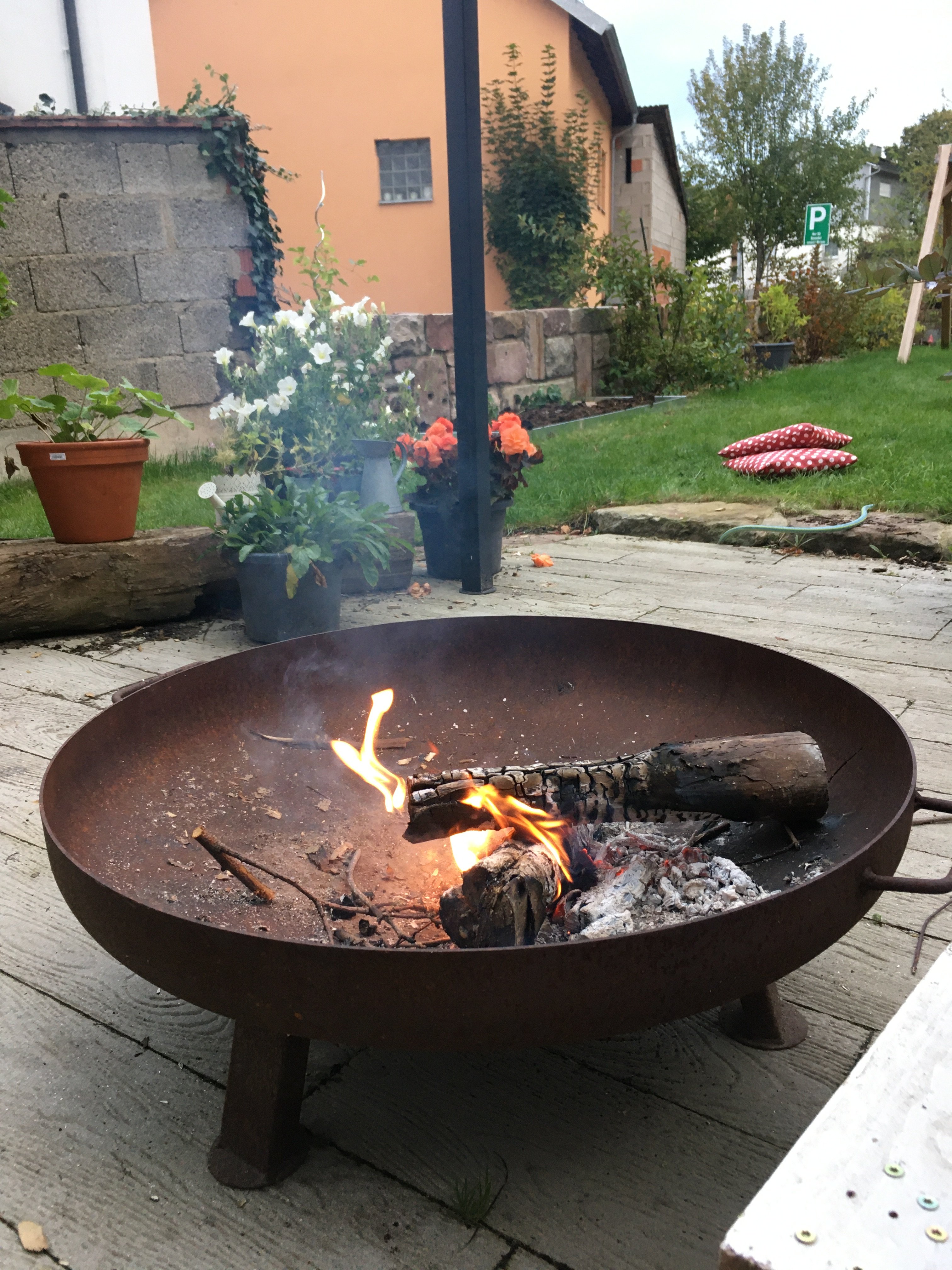 bunter-garten-plauder-bilder-thread-442012-1.jpeg