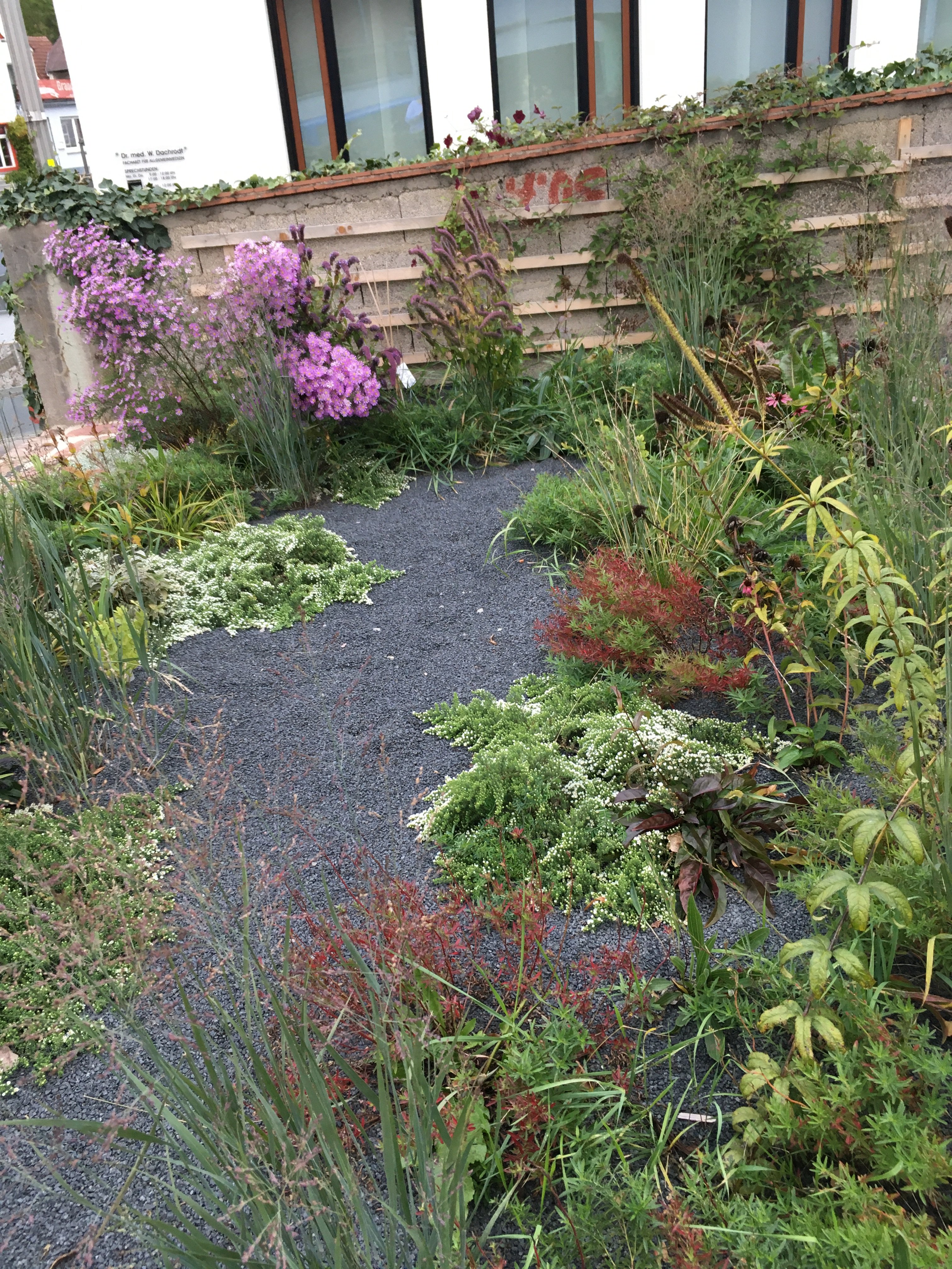 bunter-garten-plauder-bilder-thread-442012-4.jpeg