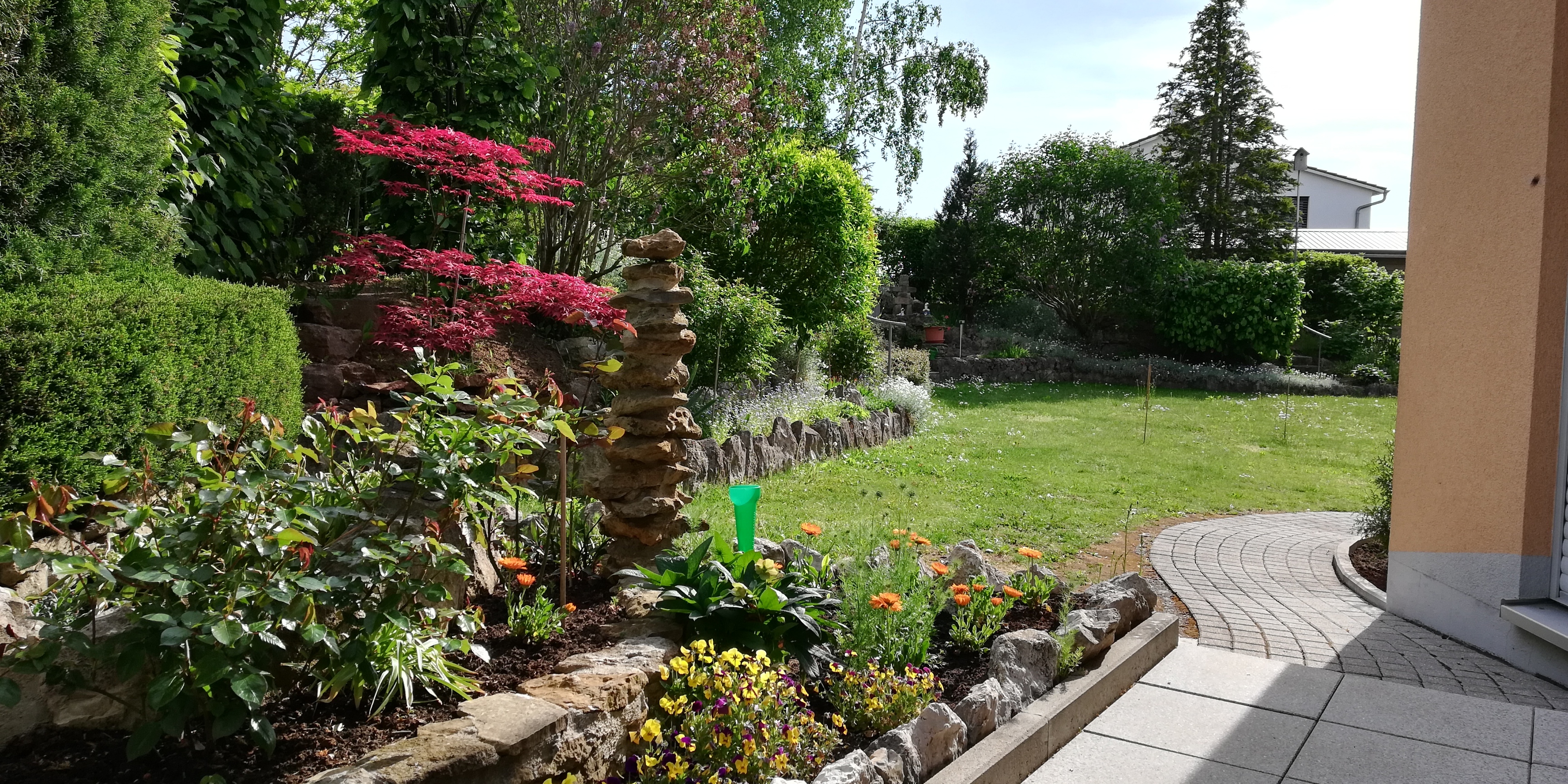 bunter-garten-plauder-bilder-thread-442115-1.jpg