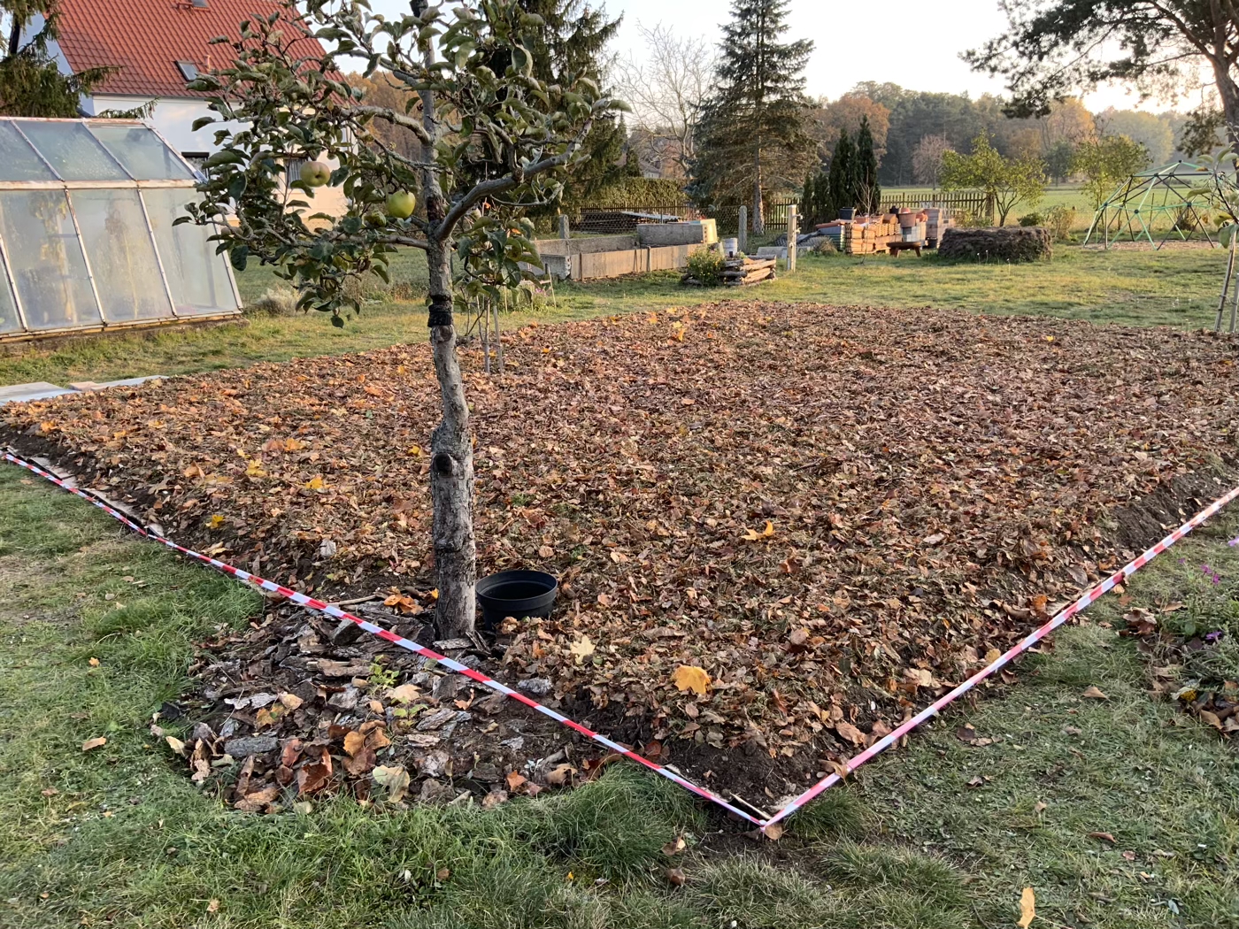 bunter-garten-plauder-bilder-thread-448316-4.jpeg