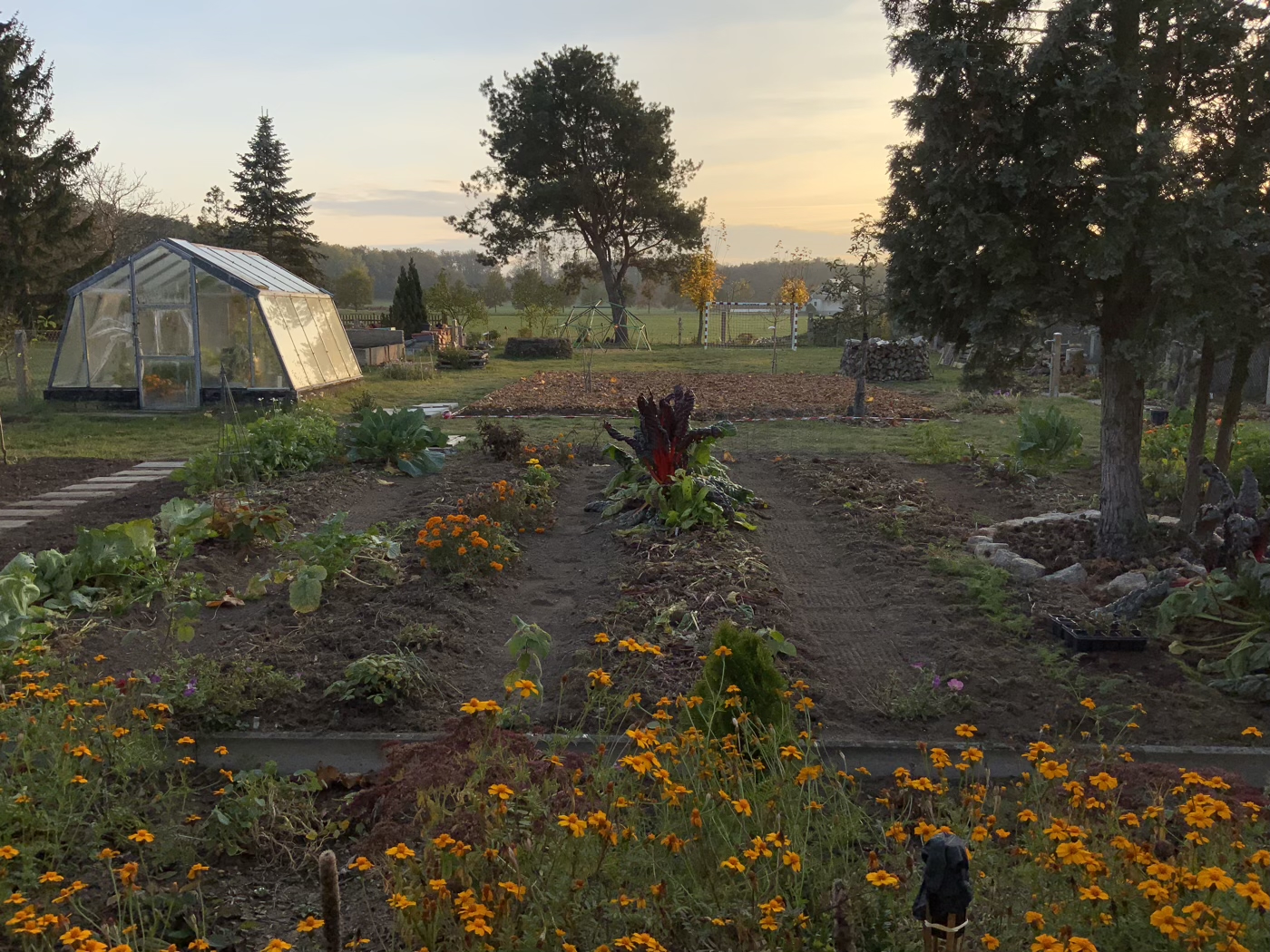 bunter-garten-plauder-bilder-thread-448316-5.jpeg