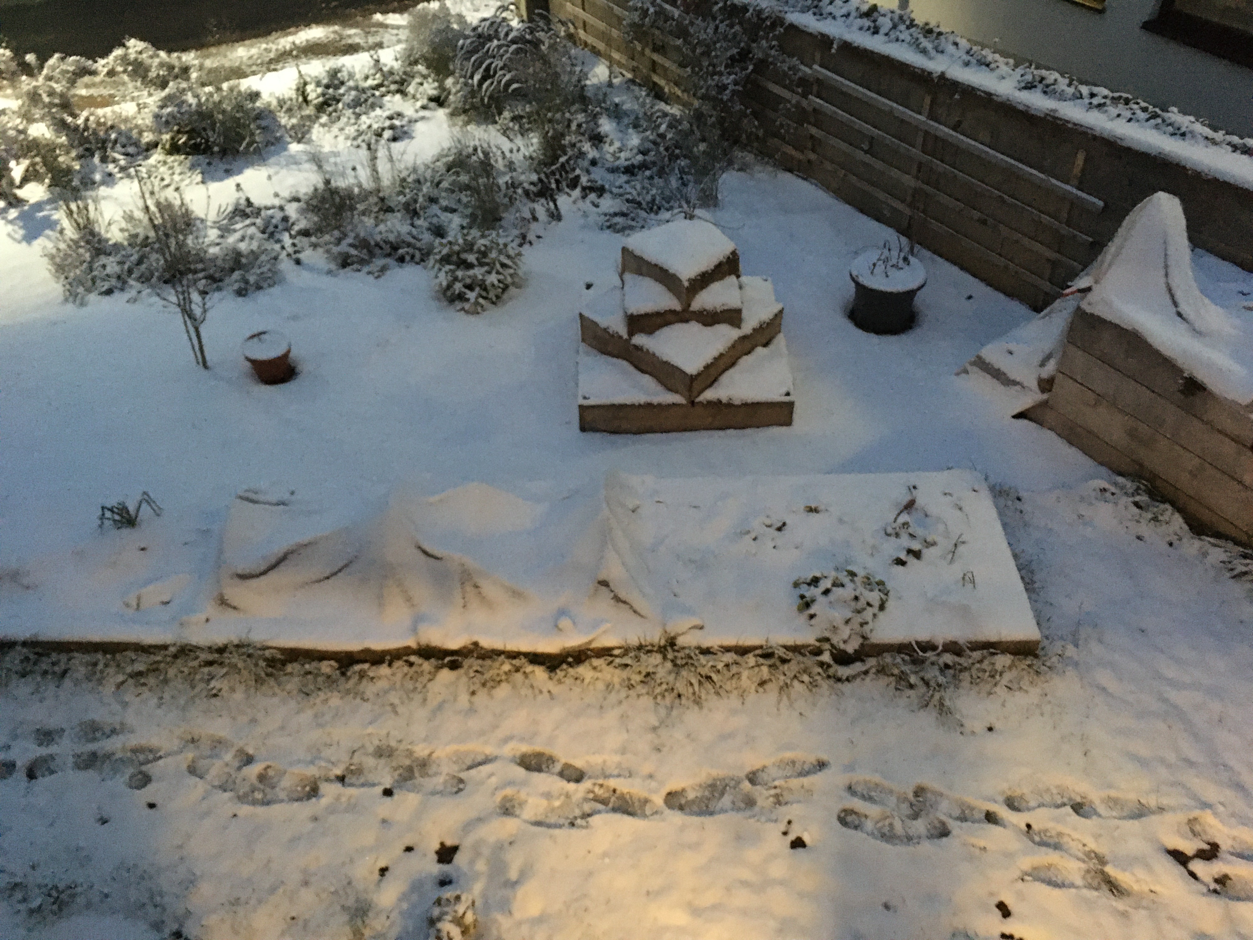 bunter-garten-plauder-bilder-thread-452012-4.jpeg