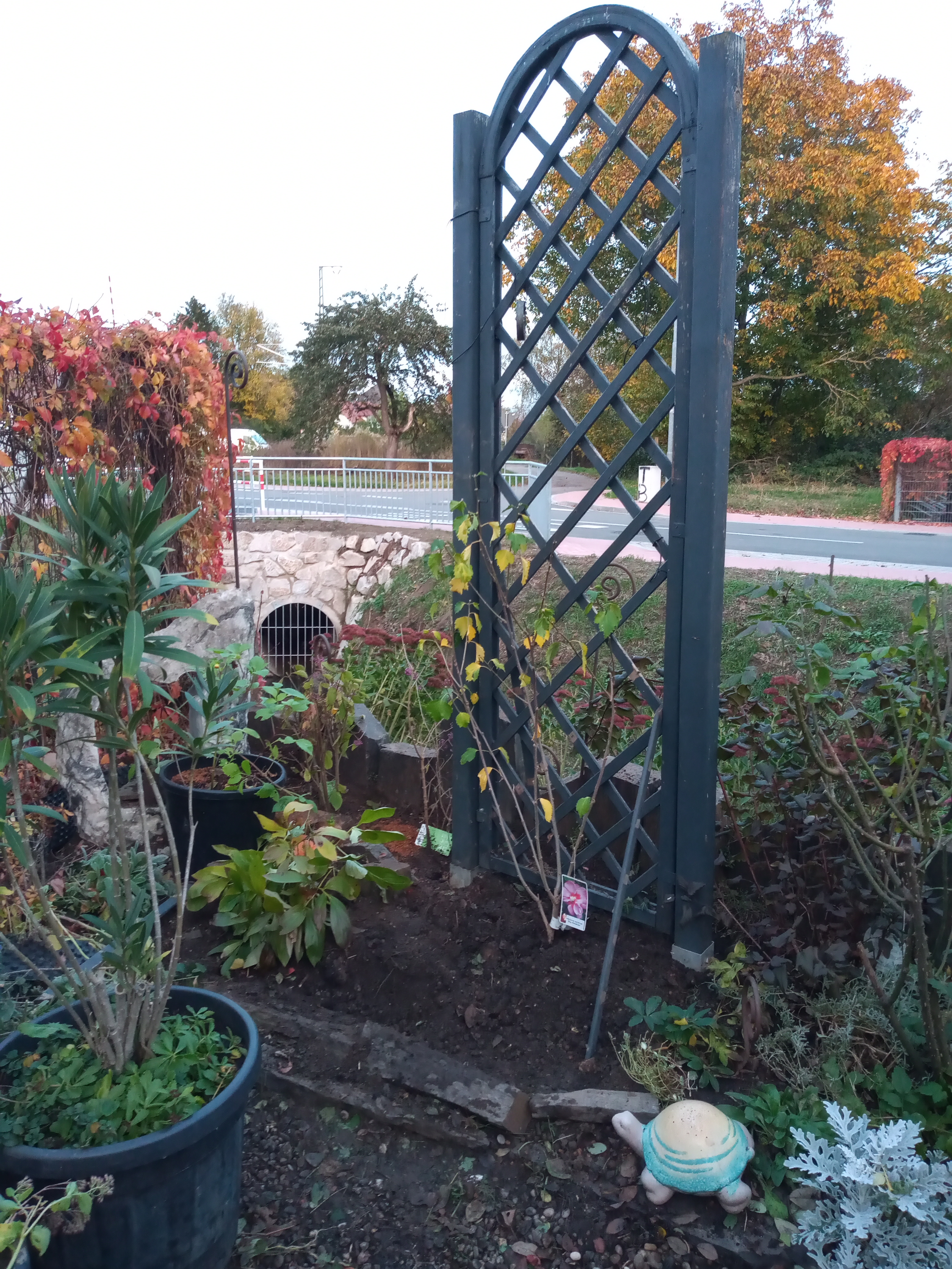 bunter-garten-plauder-bilder-thread-462529-1.jpg