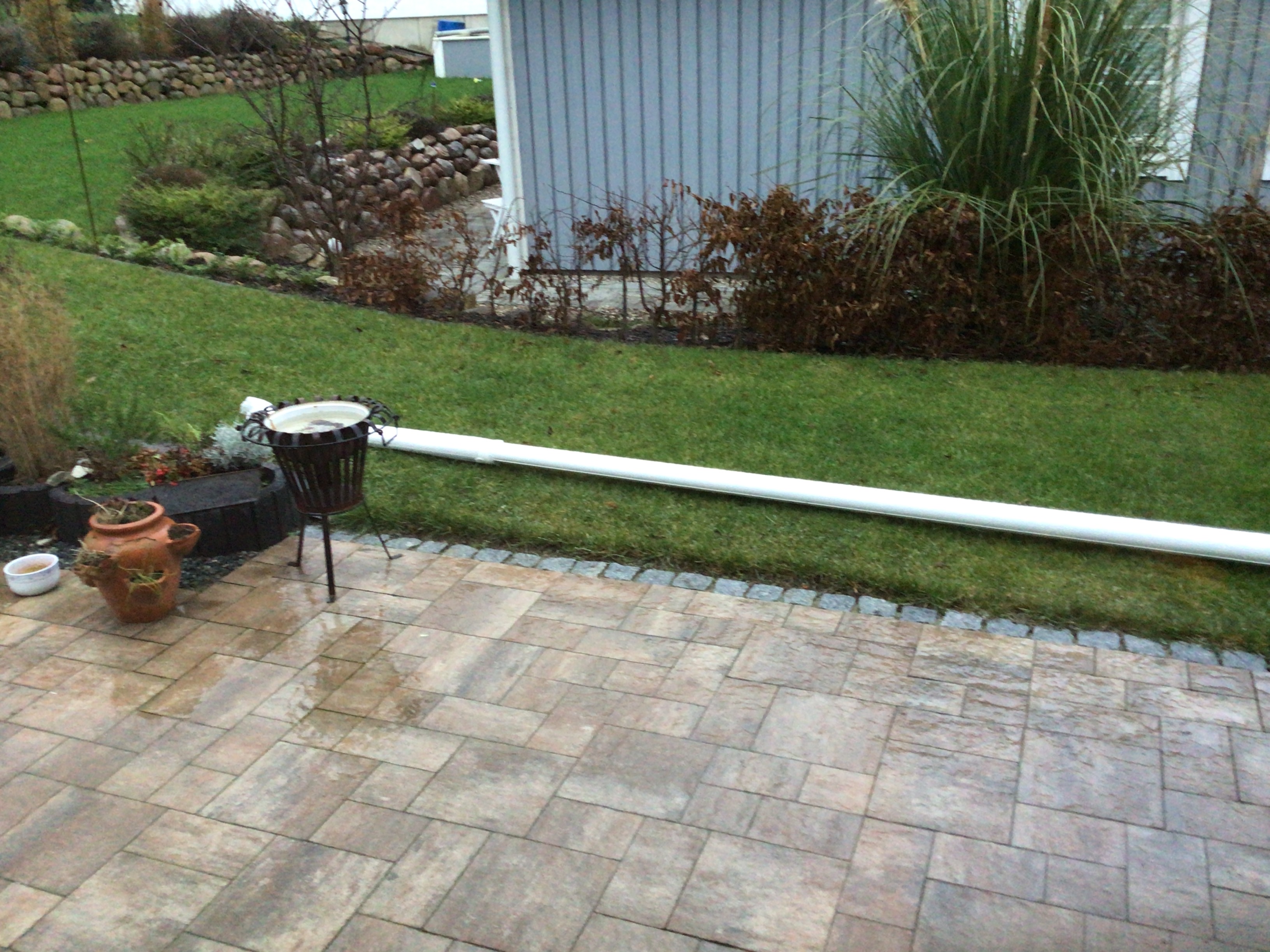 bunter-garten-plauder-bilder-thread-463148-1.jpg