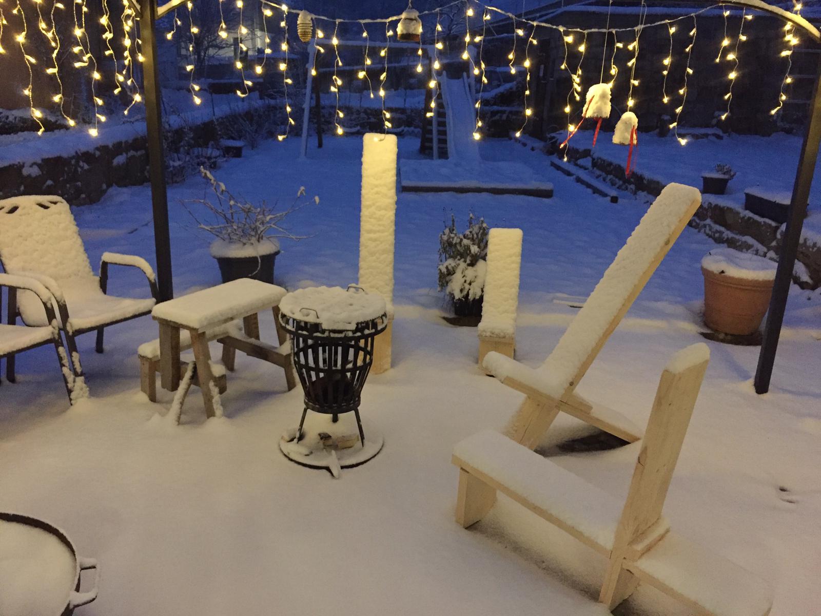 bunter-garten-plauder-bilder-thread-463154-1.jpeg