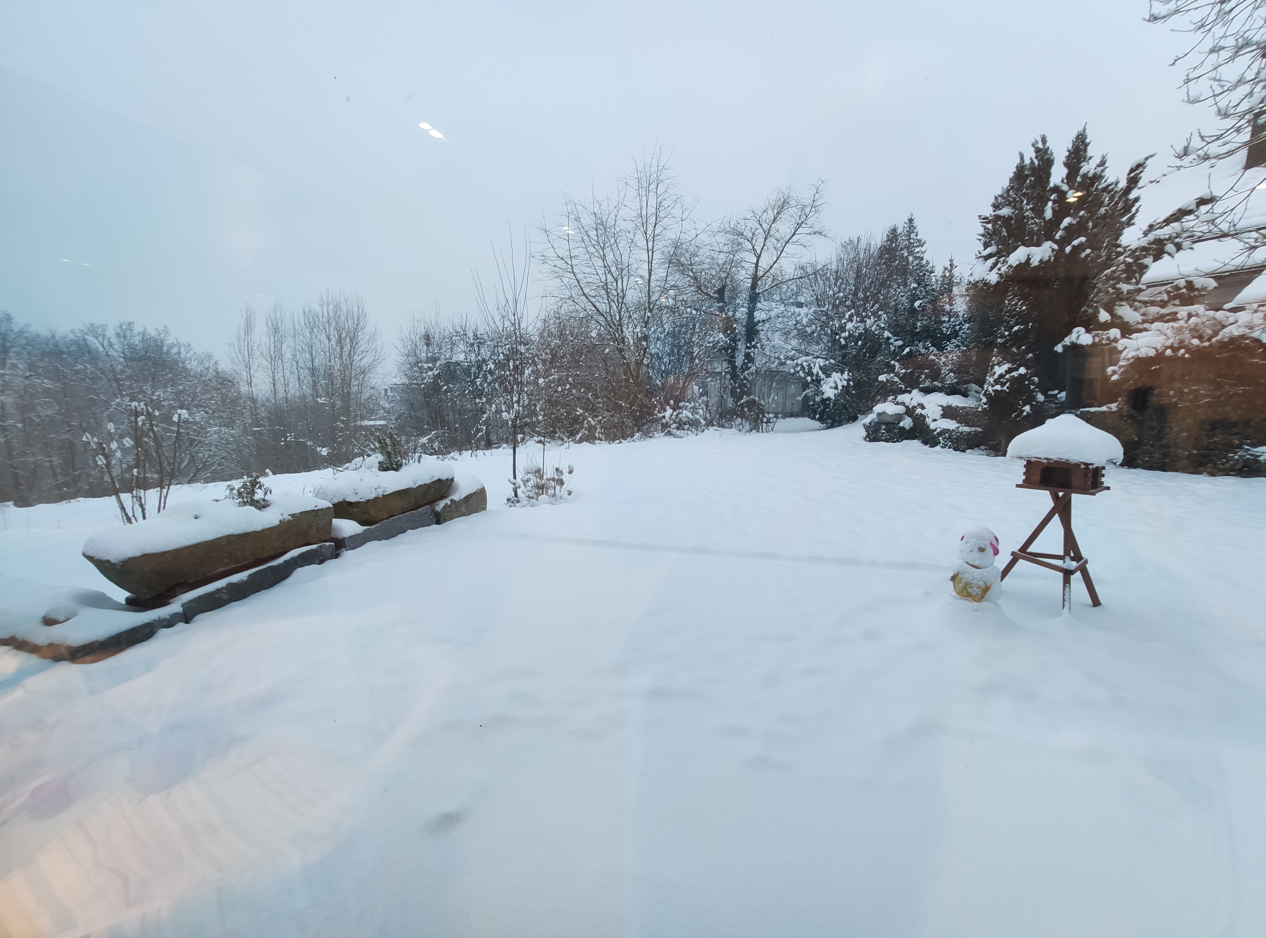 bunter-garten-plauder-bilder-thread-463161-1.jpg