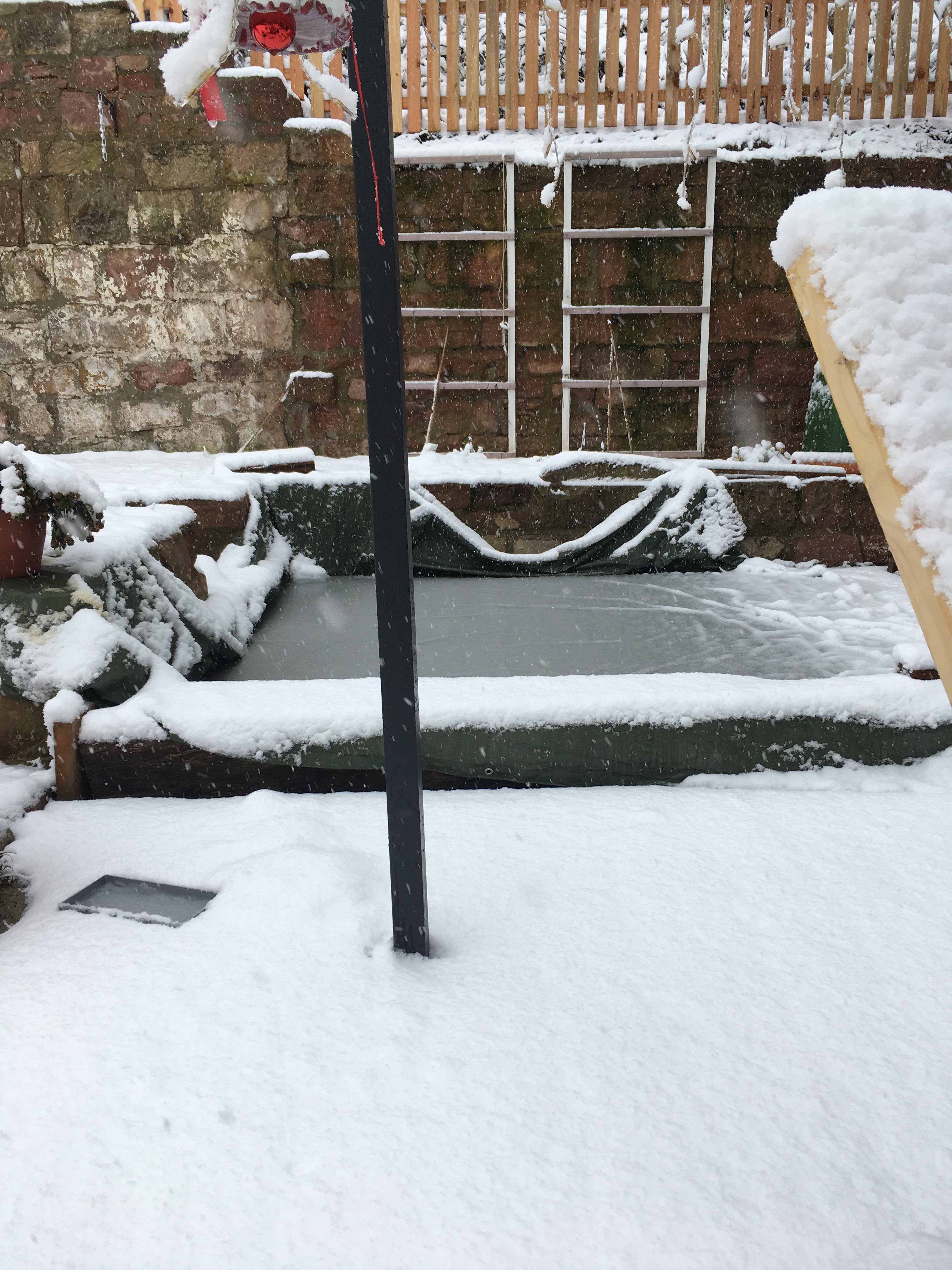 bunter-garten-plauder-bilder-thread-466101-1.jpeg