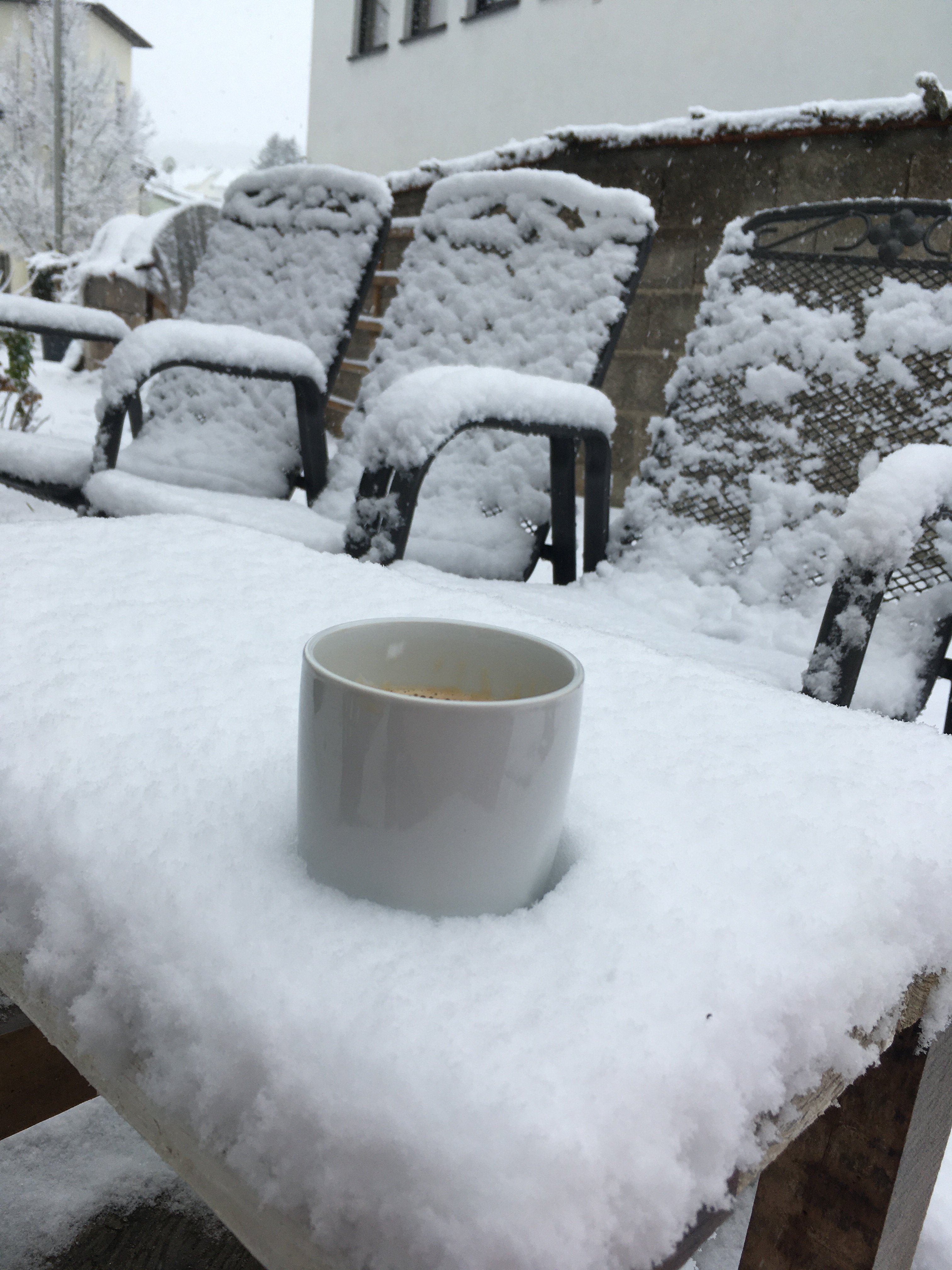 bunter-garten-plauder-bilder-thread-466101-2.jpeg