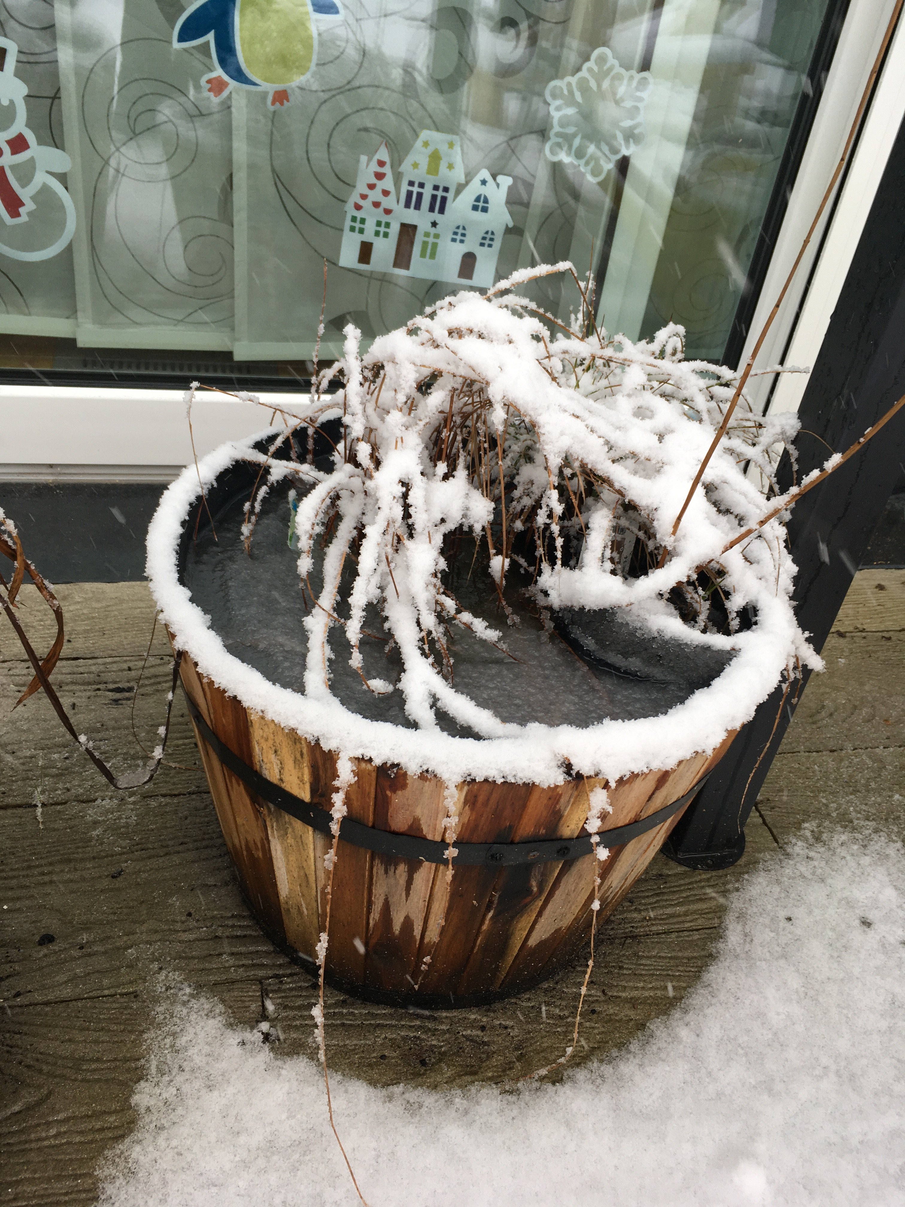 bunter-garten-plauder-bilder-thread-466102-1.jpeg
