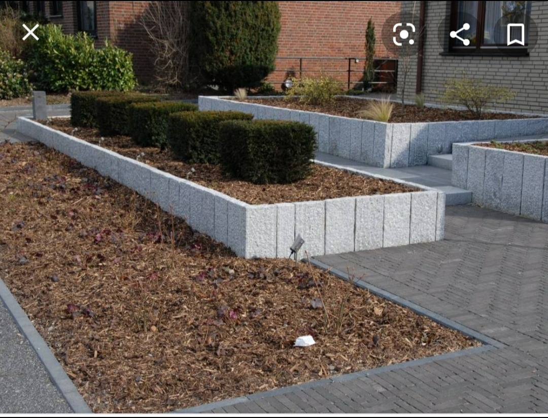 bunter-garten-plauder-bilder-thread-468068-1.jpg
