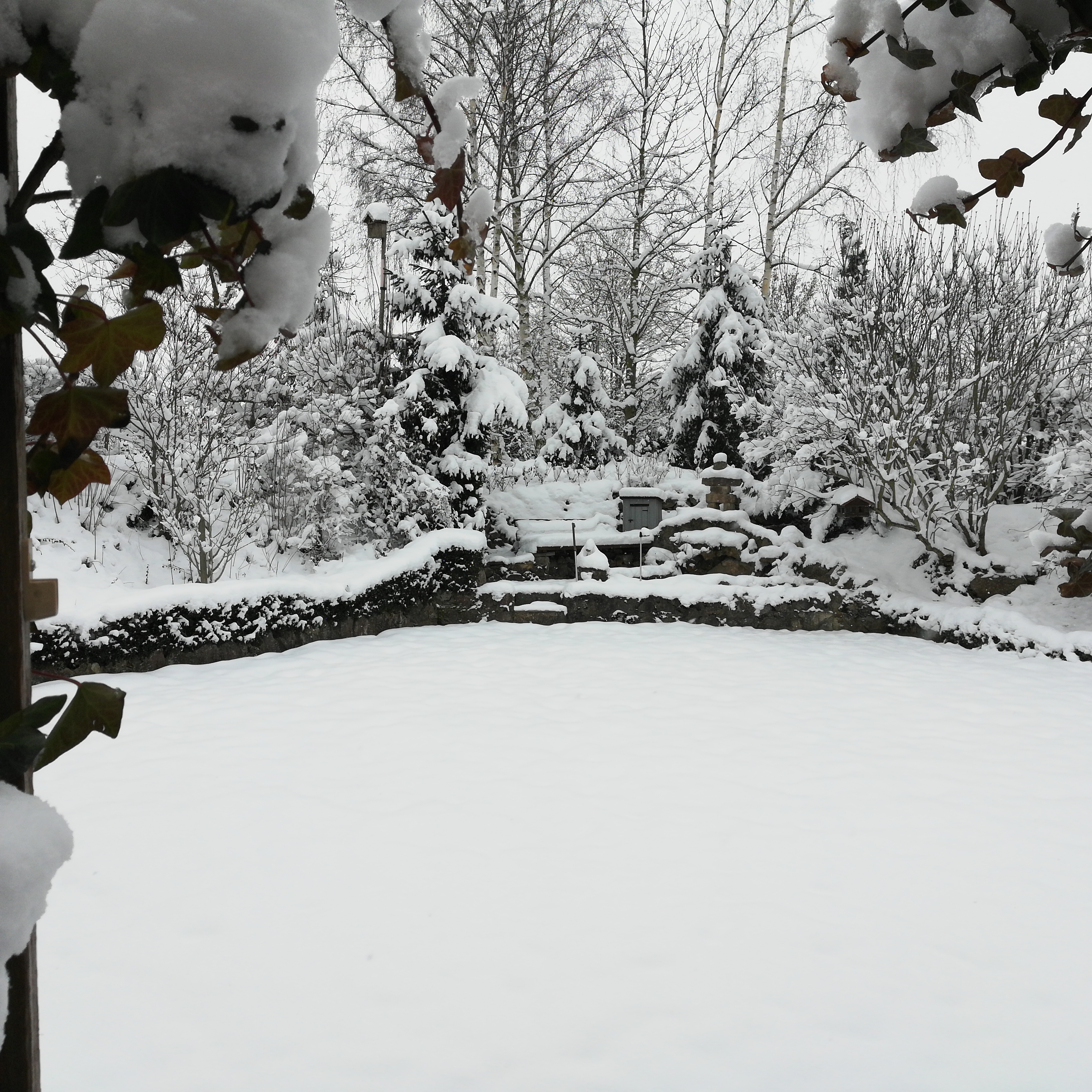 bunter-garten-plauder-bilder-thread-470672-1.jpg