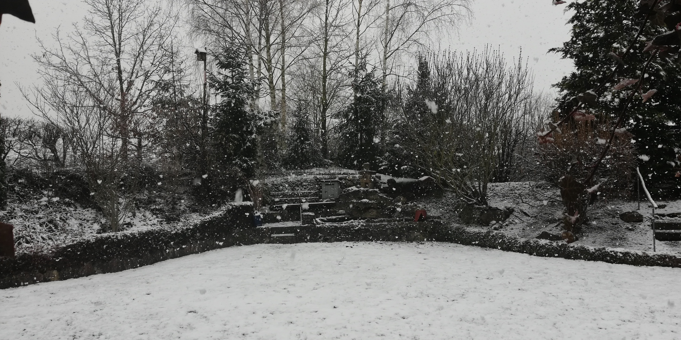 bunter-garten-plauder-bilder-thread-480935-1.jpg