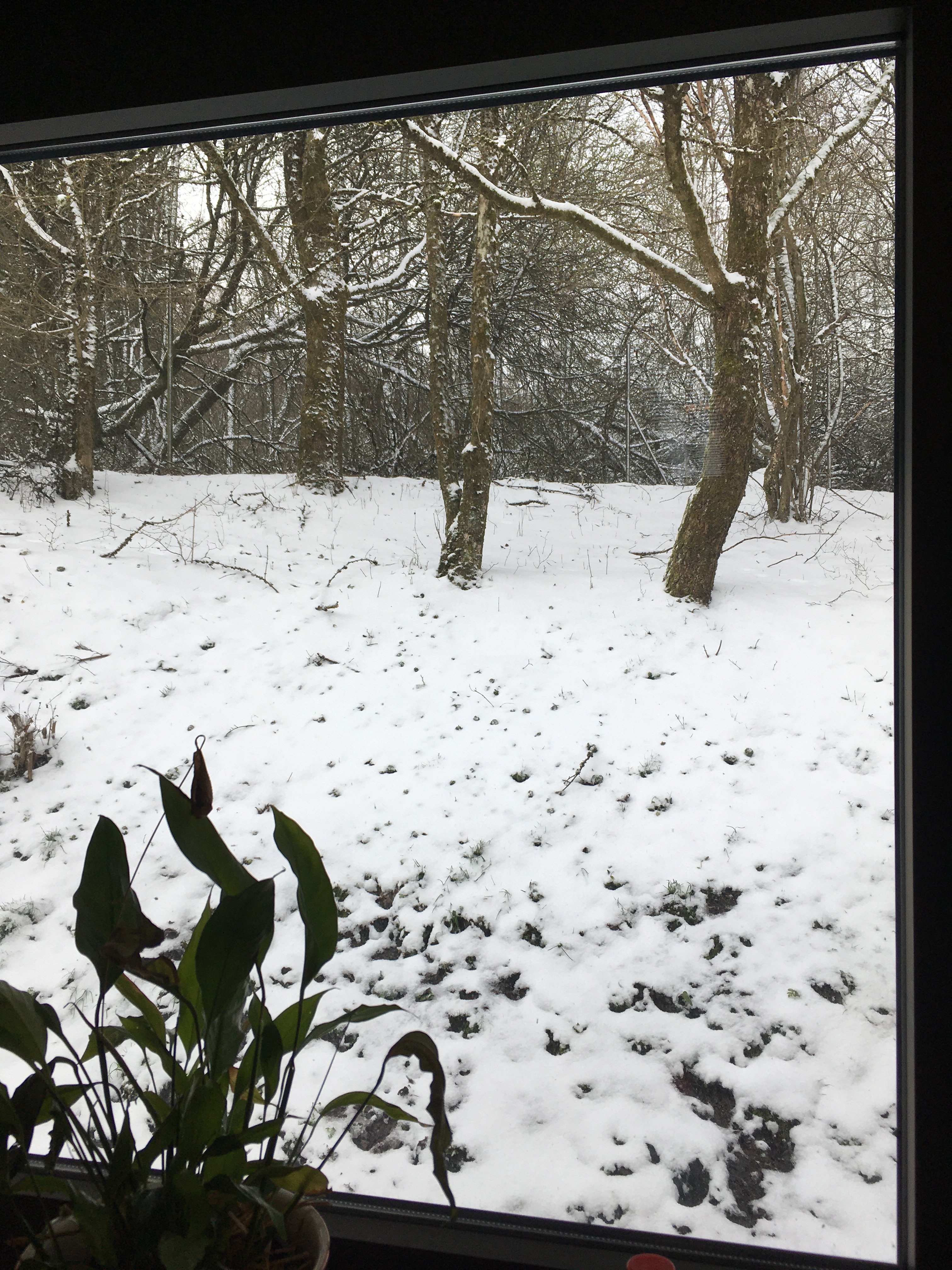 bunter-garten-plauder-bilder-thread-486344-1.jpeg