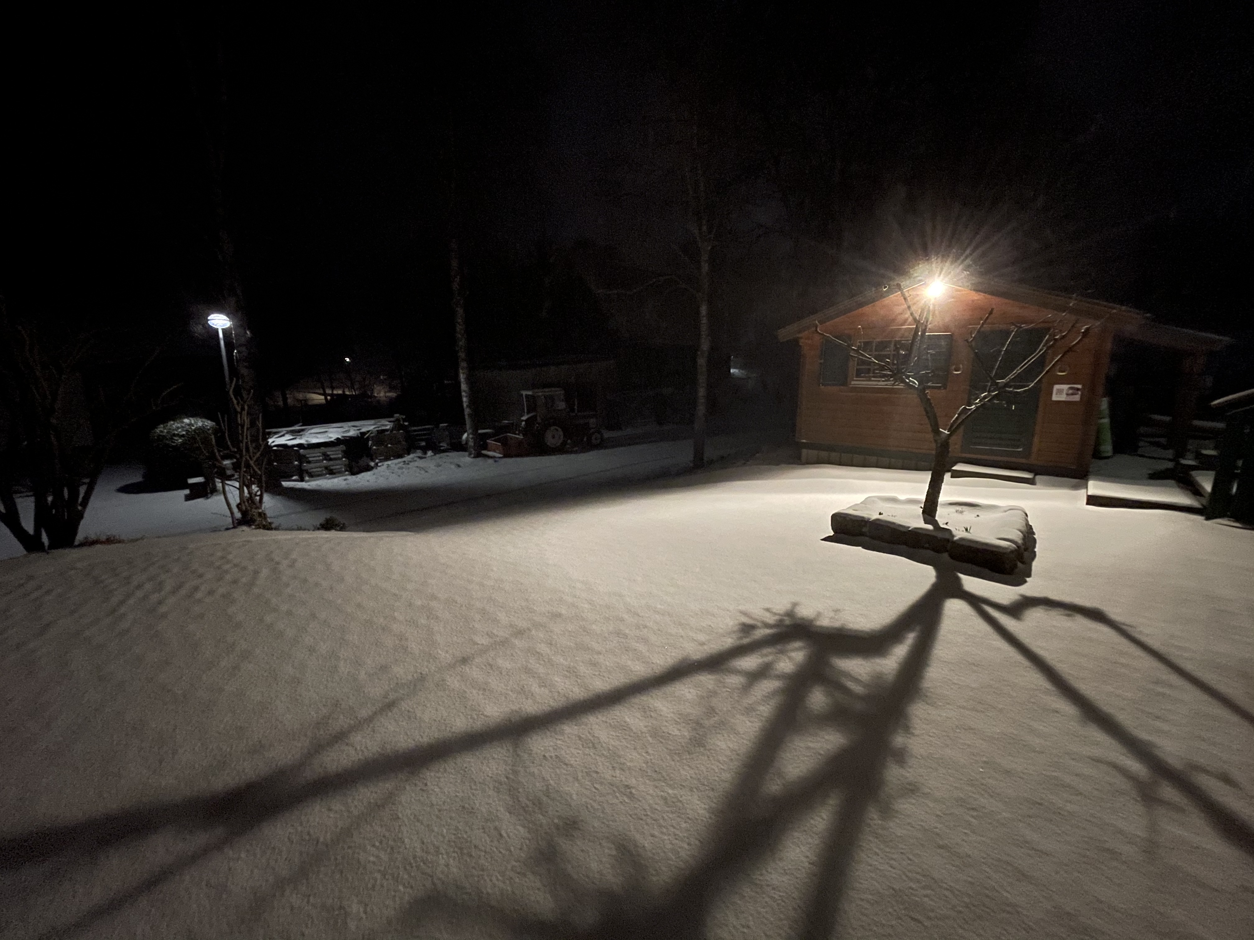 bunter-garten-plauder-bilder-thread-486571-1.jpeg