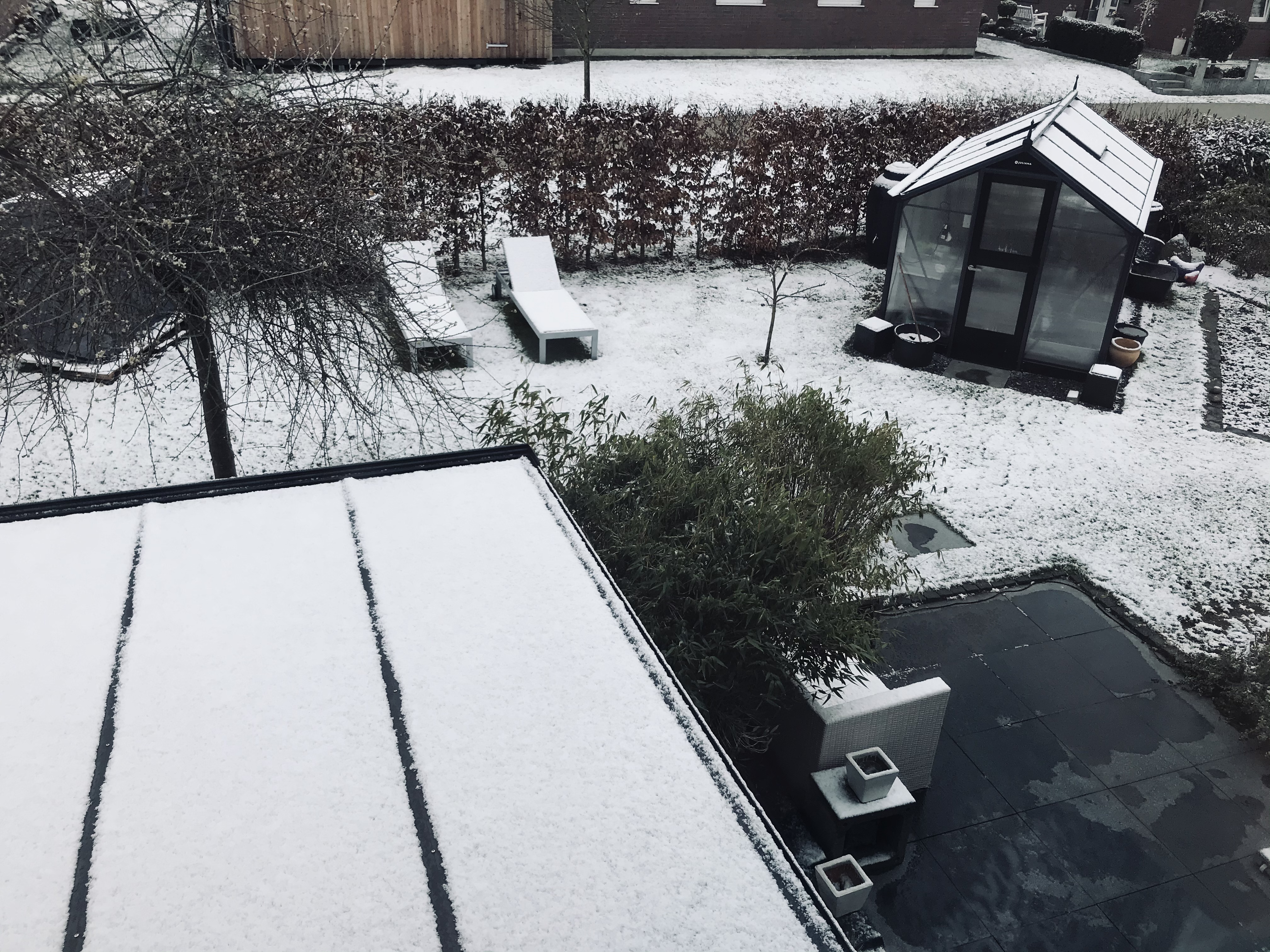 bunter-garten-plauder-bilder-thread-486635-1.jpeg