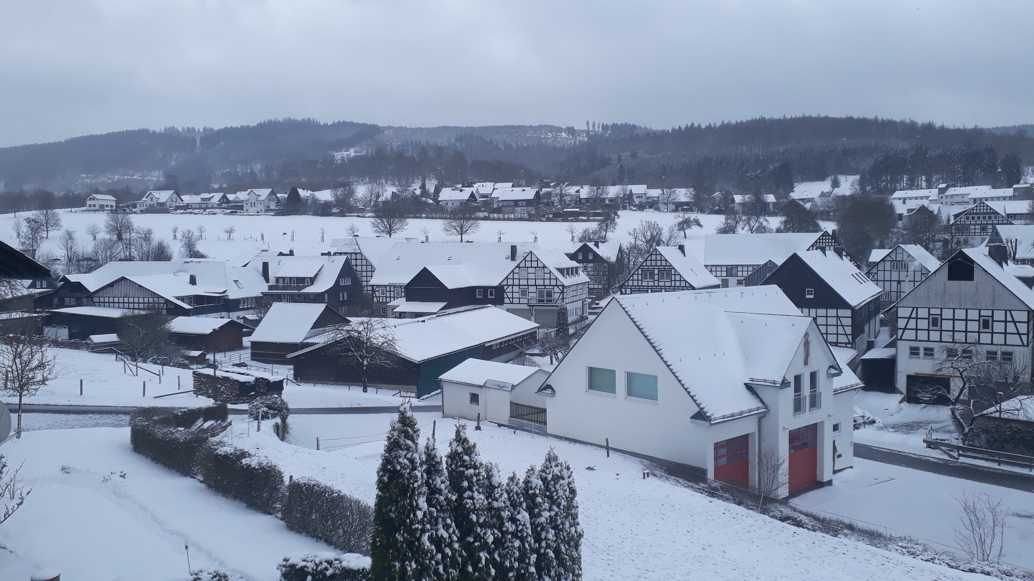 bunter-garten-plauder-bilder-thread-486656-1.jpg