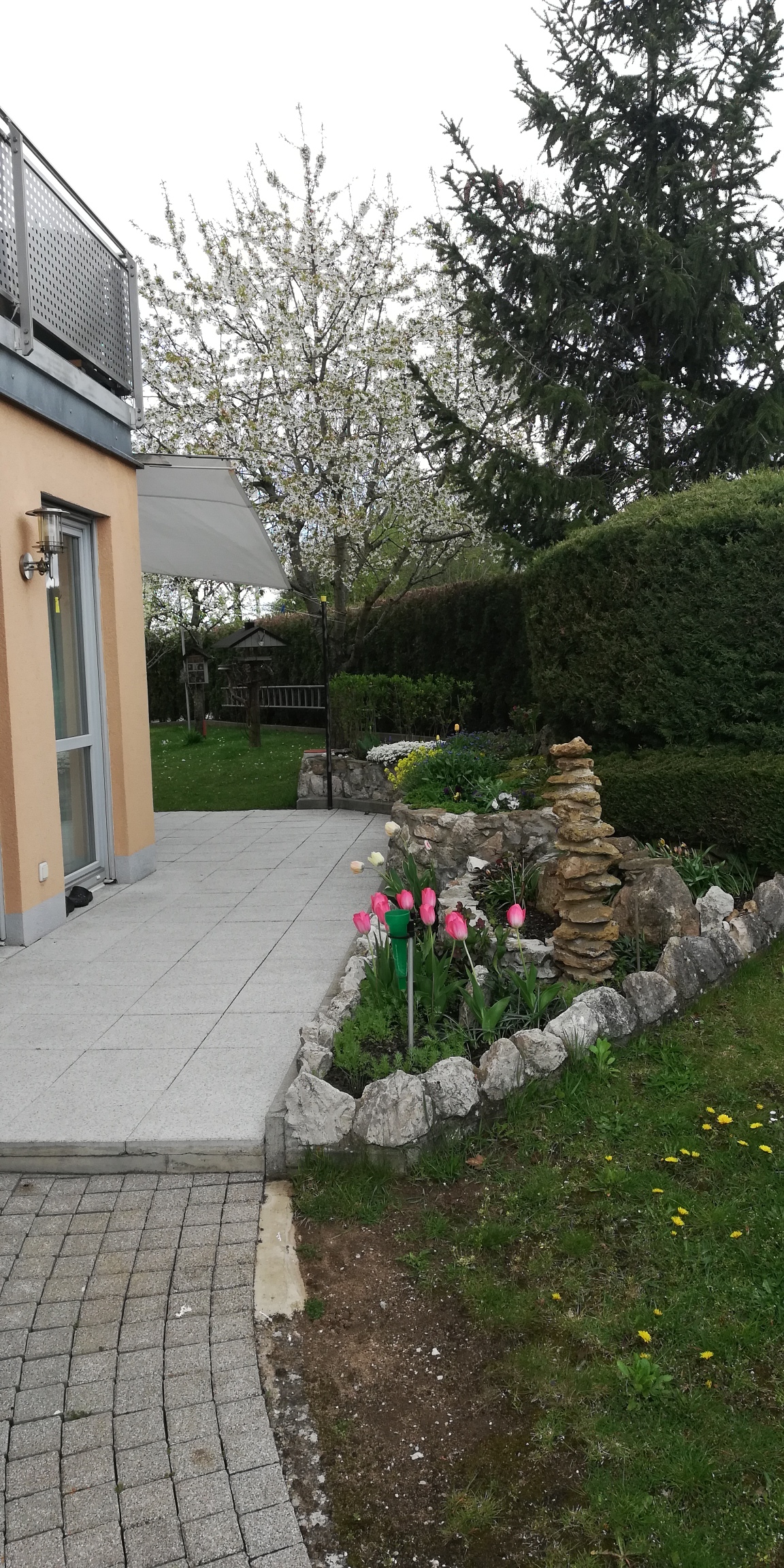 bunter-garten-plauder-bilder-thread-495315-1.jpg